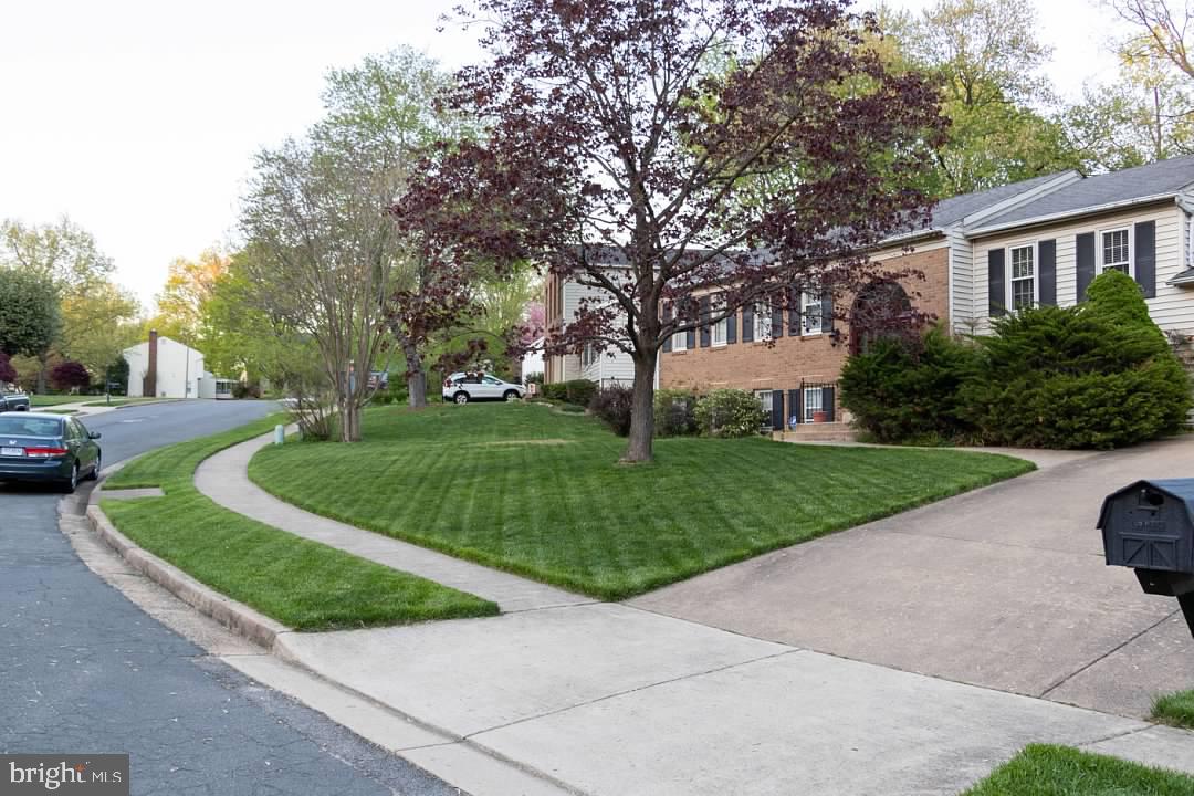 SARATOGA - Residential Lease