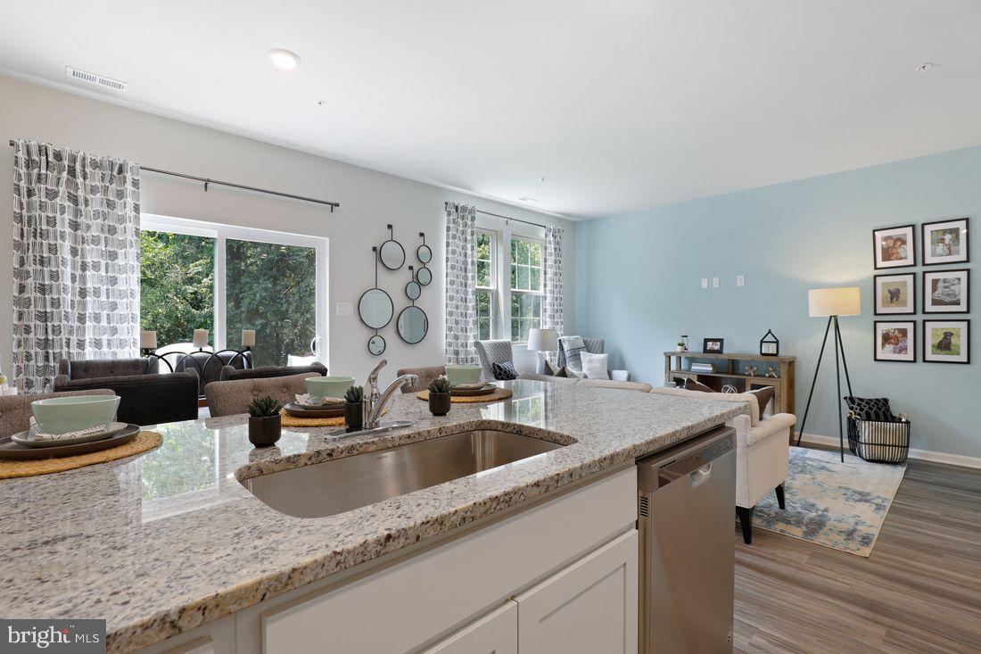 LOCUST RUN - Residential