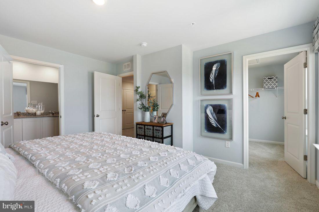 LOCUST RUN - Residential