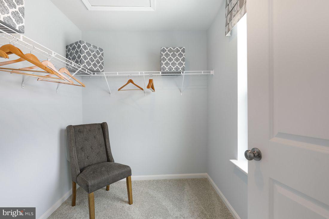 LOCUST RUN - Residential