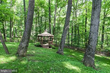 SAGAMORE FOREST II - Residential