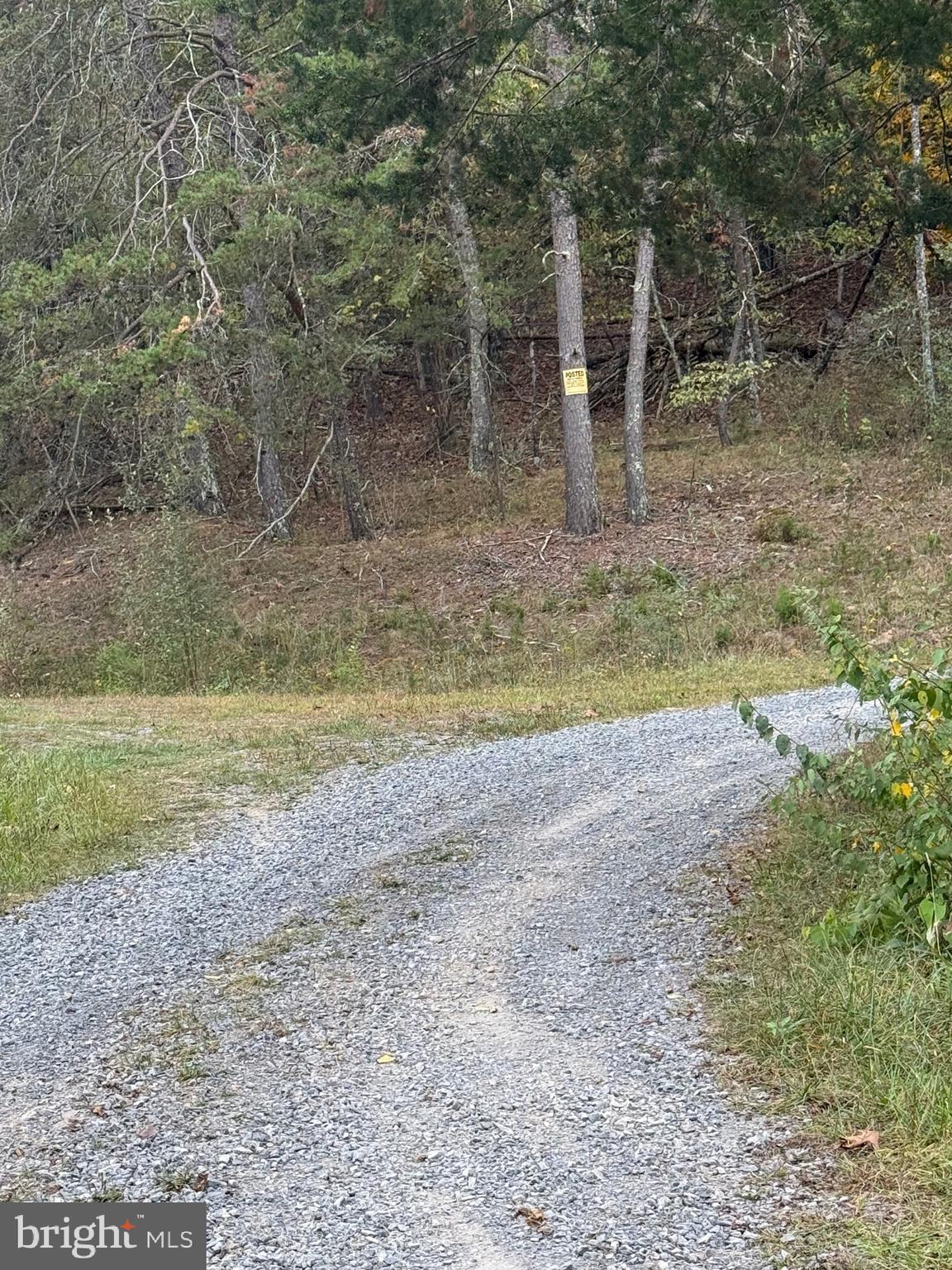 1684 POSEY HOLLOW ROAD