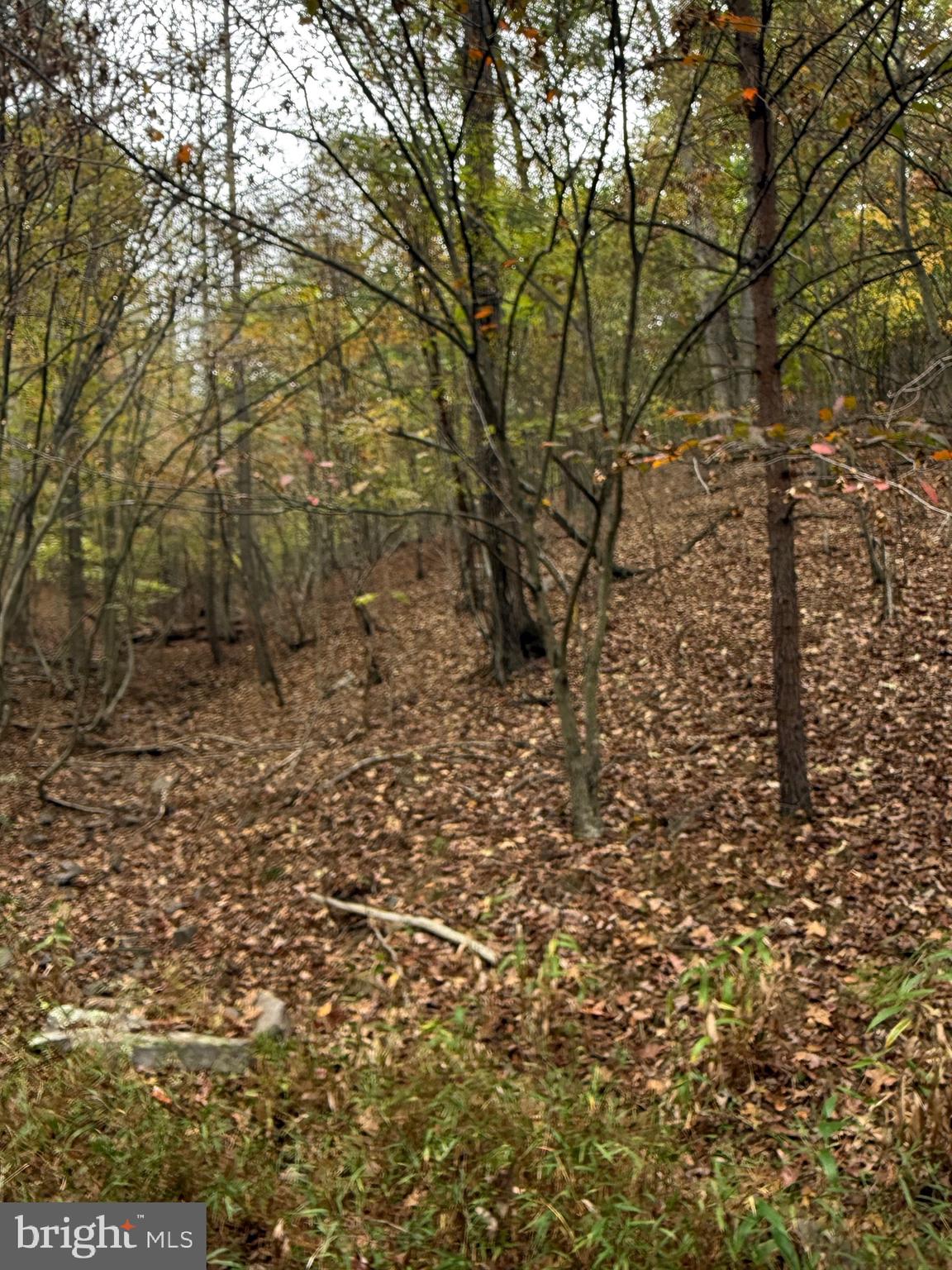 1684 POSEY HOLLOW ROAD