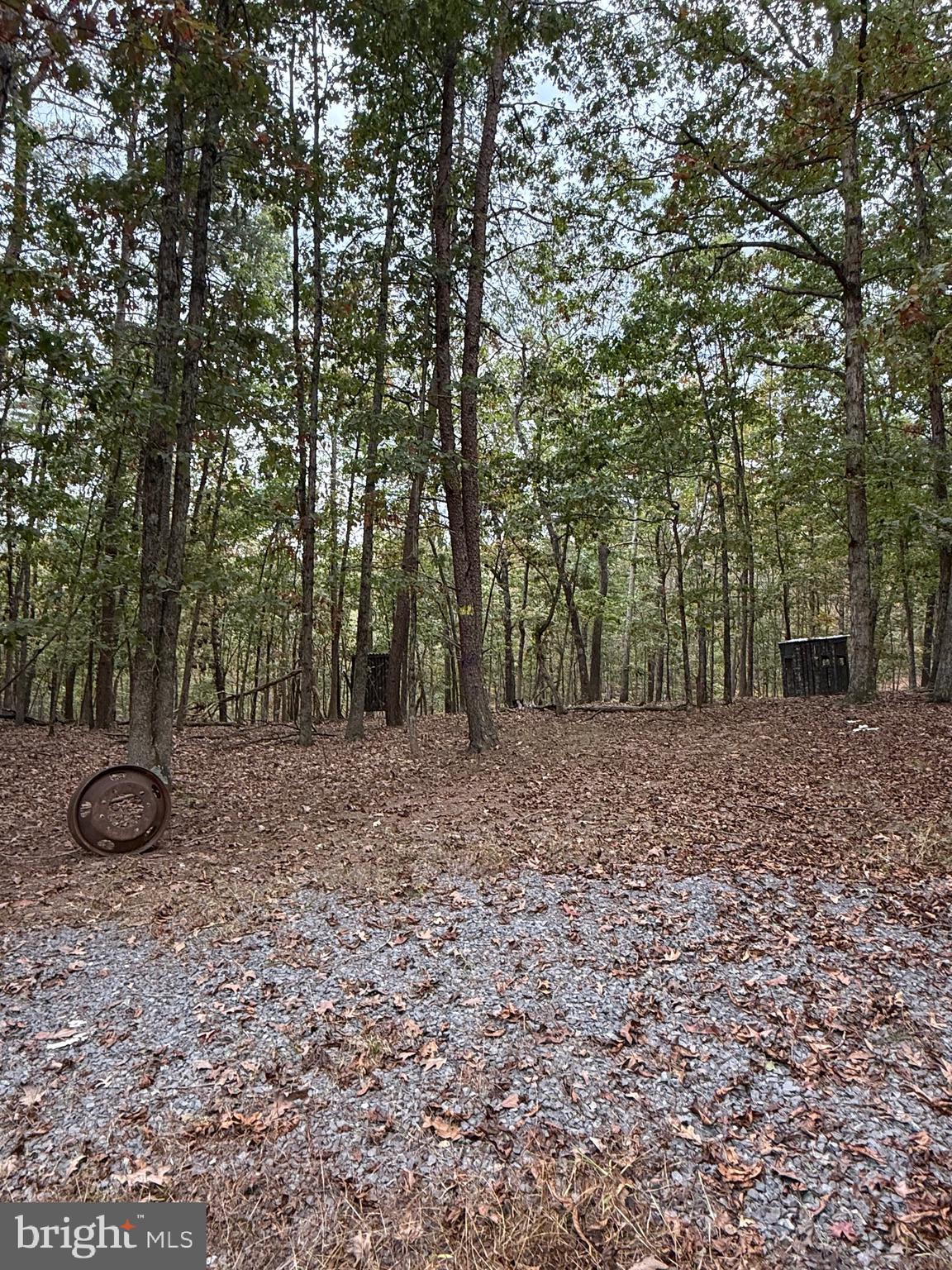 1684 POSEY HOLLOW ROAD