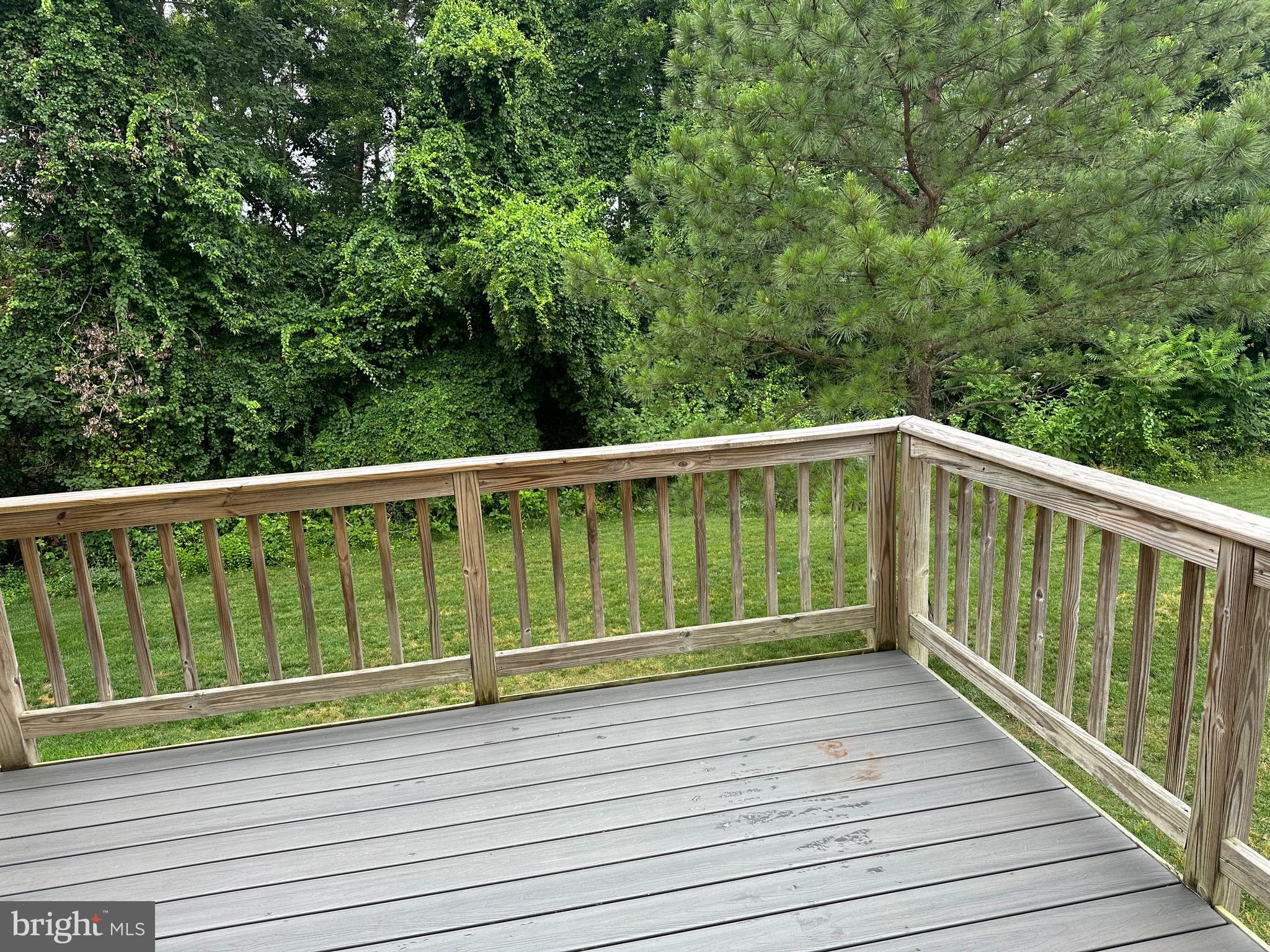 TANYARD SPRINGS - Residential Lease