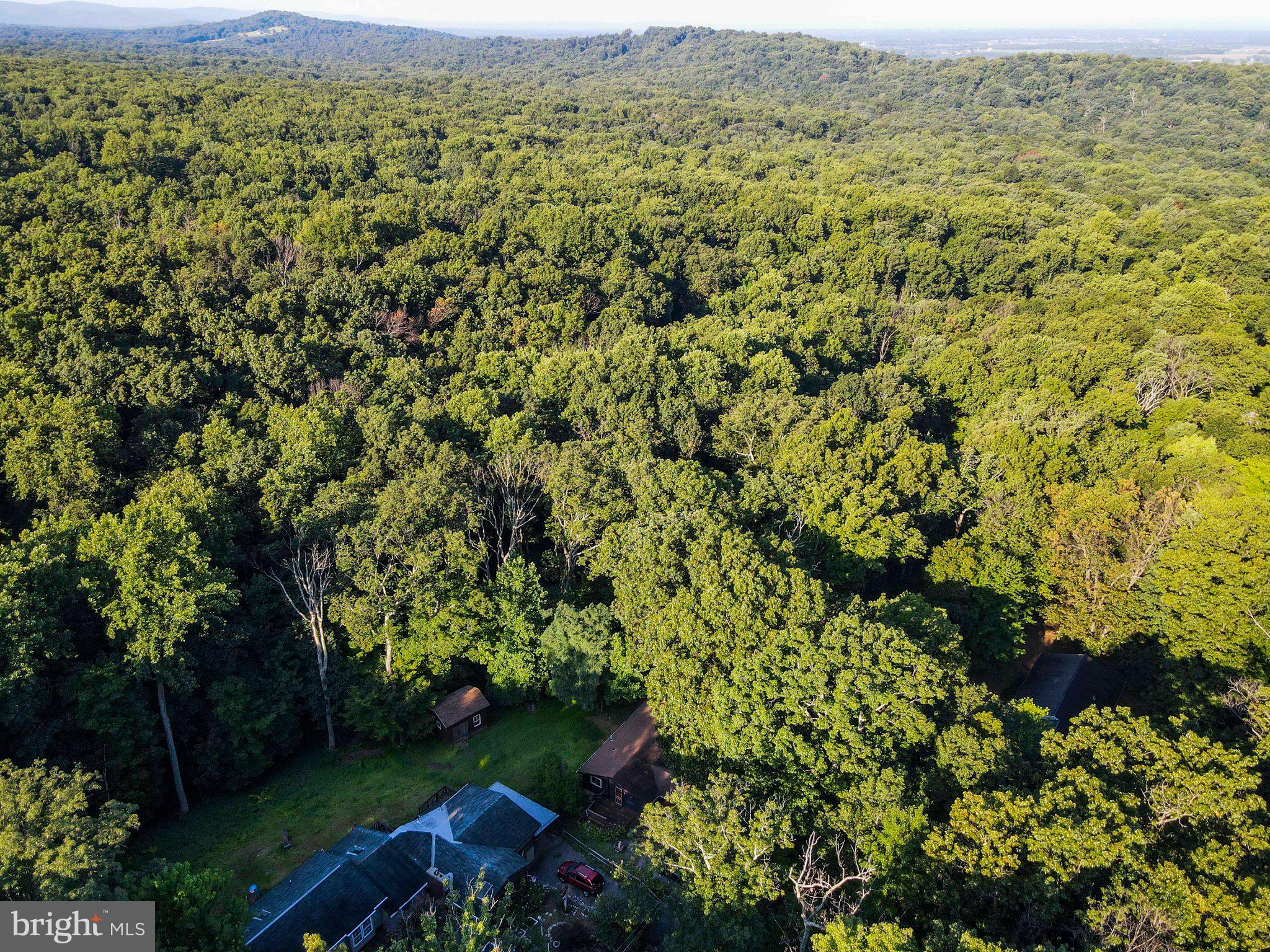 SHANNONDALE - Residential