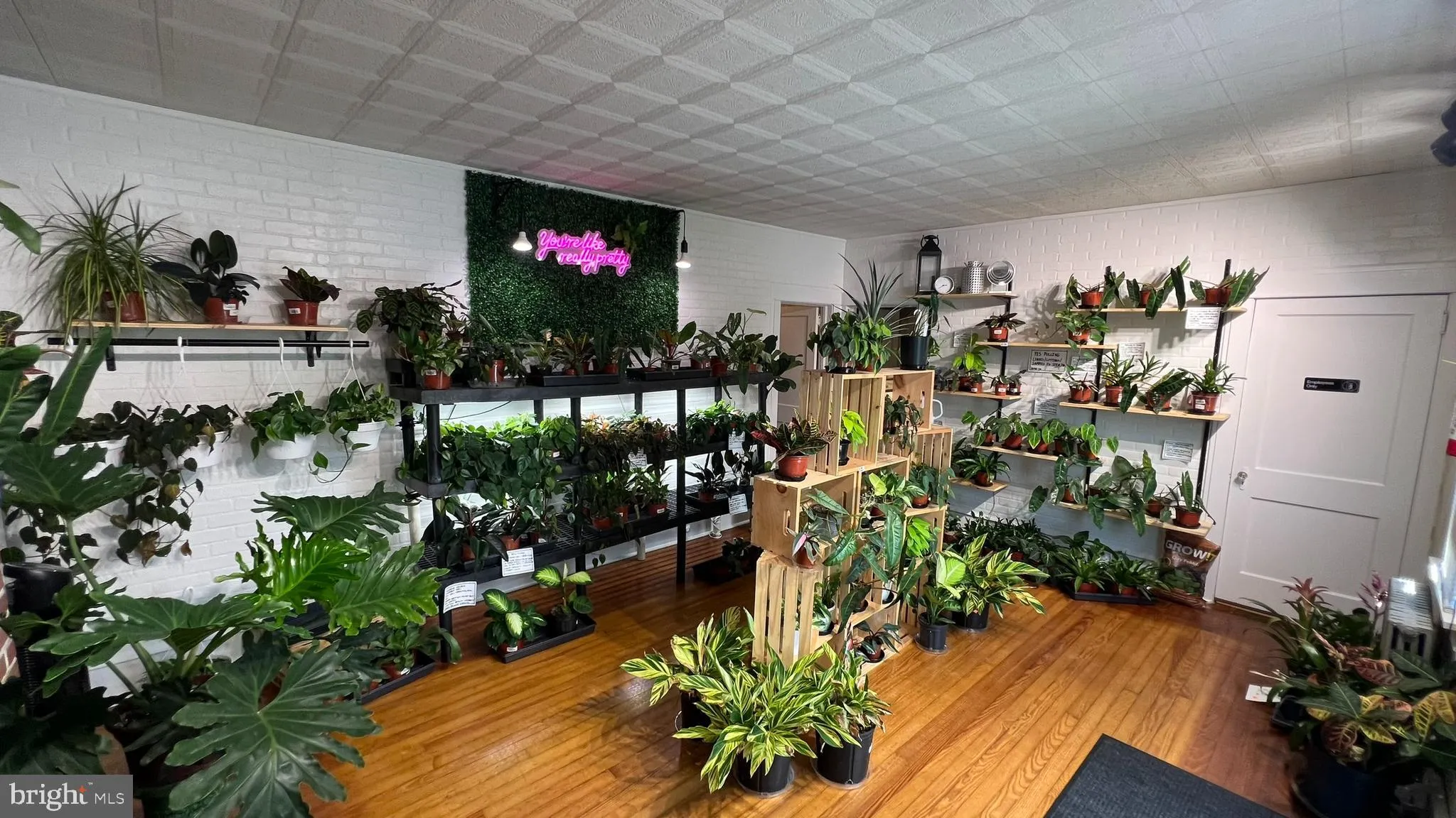 Lindenwold, New Jersey 08021, United States, ,Commercial,Pending,22381