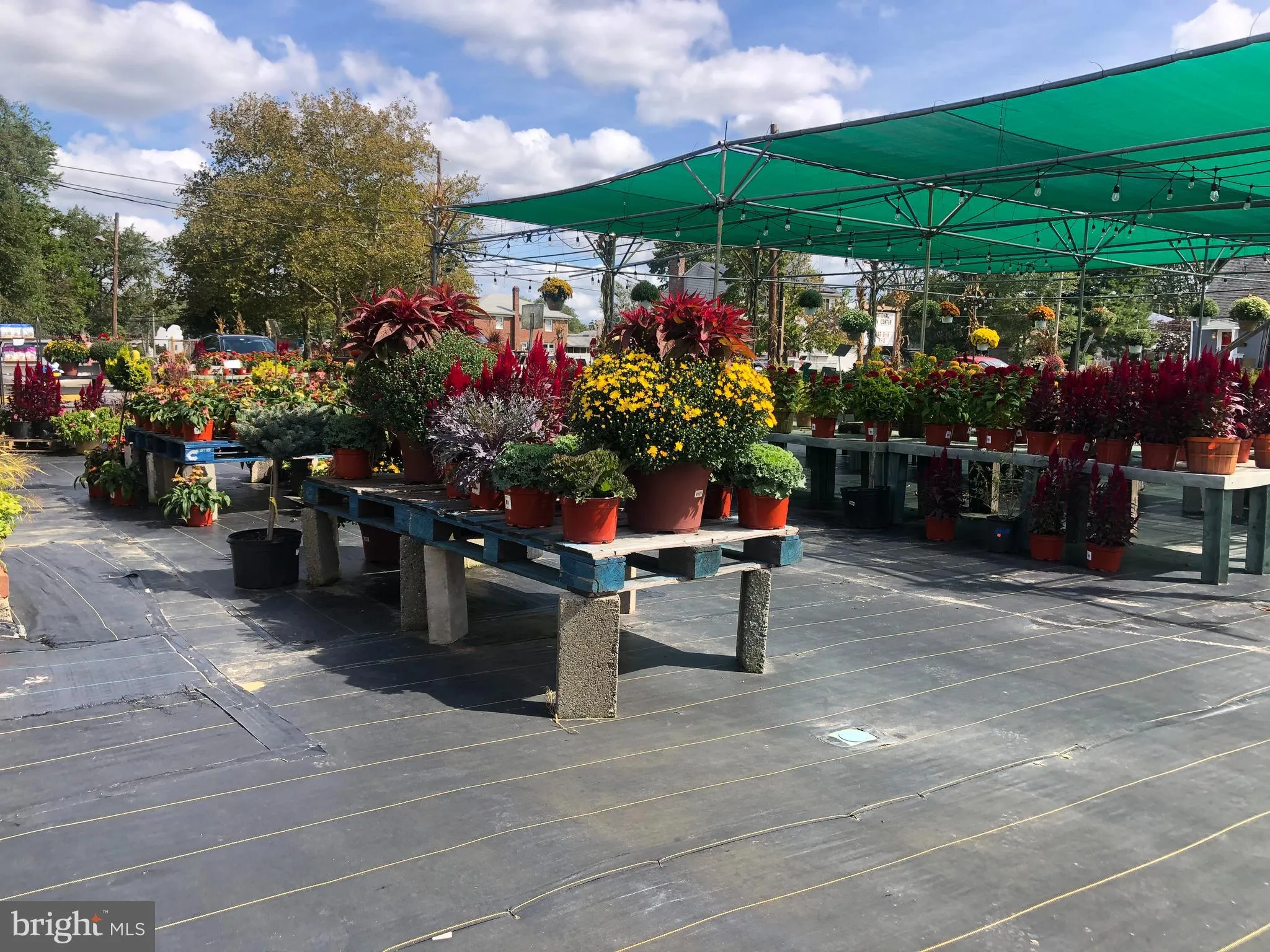 Lindenwold, New Jersey 08021, United States, ,Commercial,Pending,22381