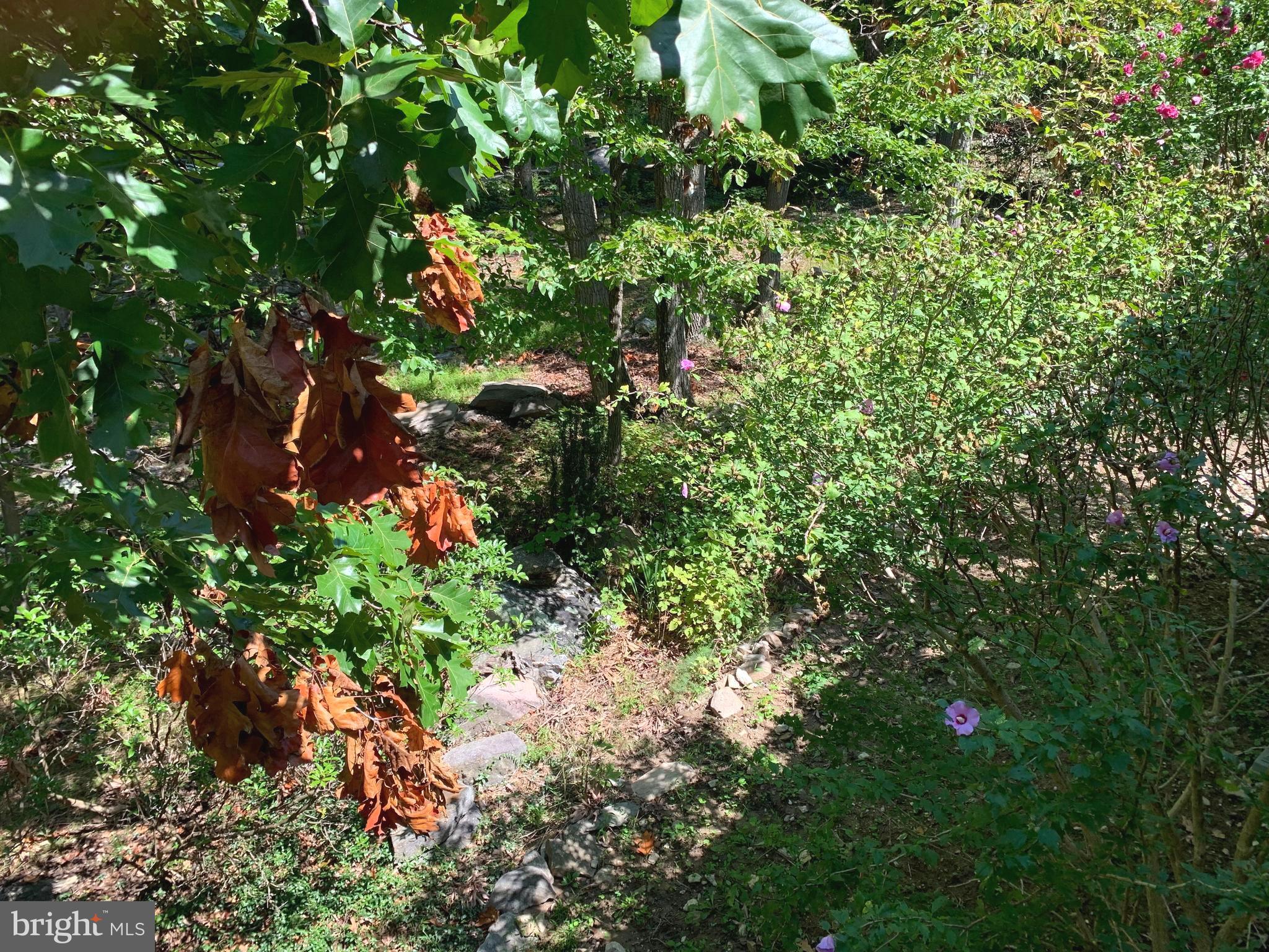 SHANNONDALE - Residential