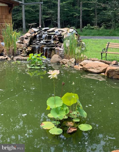 FOREST FIELD - Residential