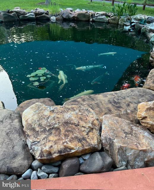 FOREST FIELD - Residential