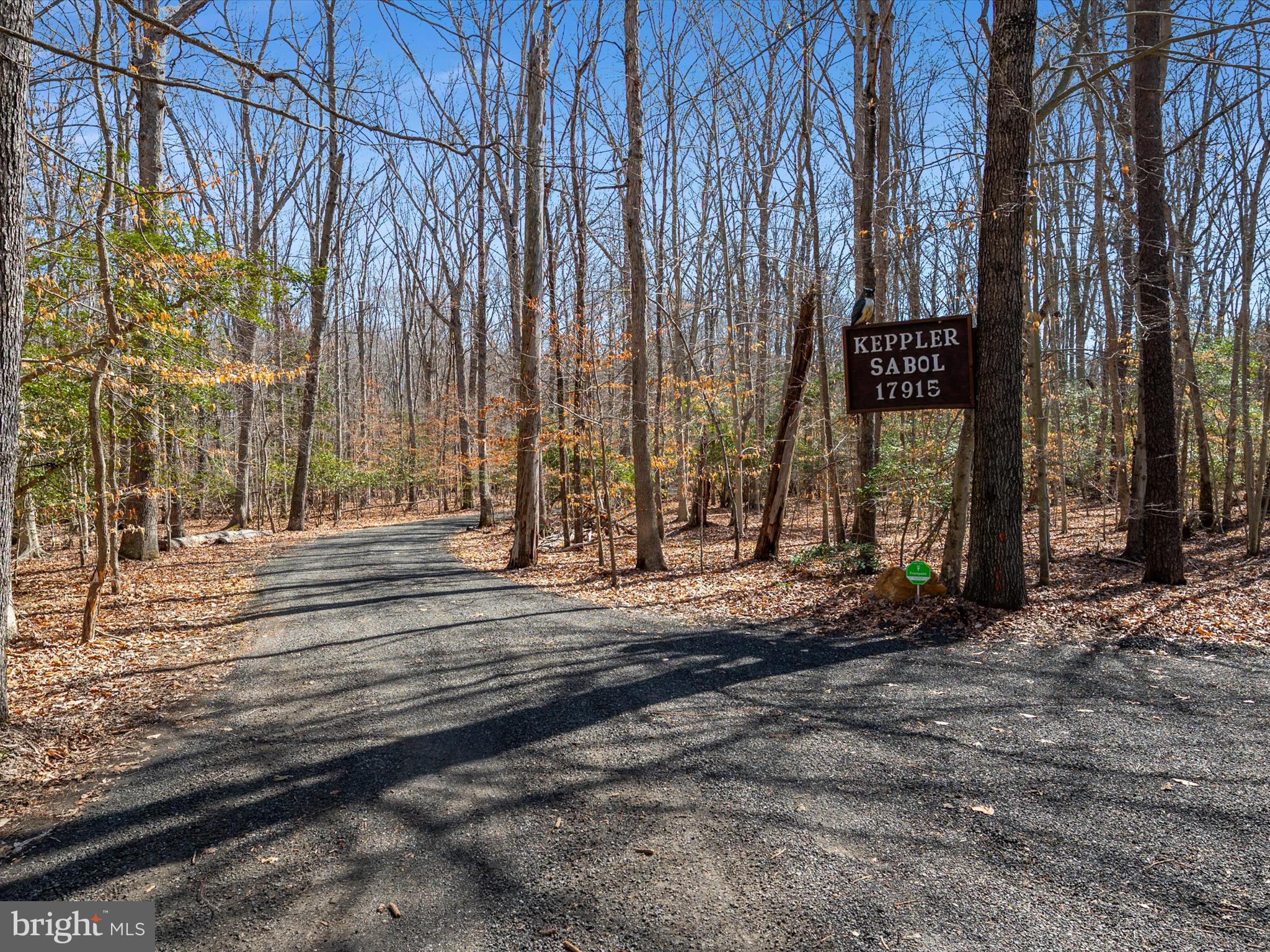 FOREST FIELD - Residential