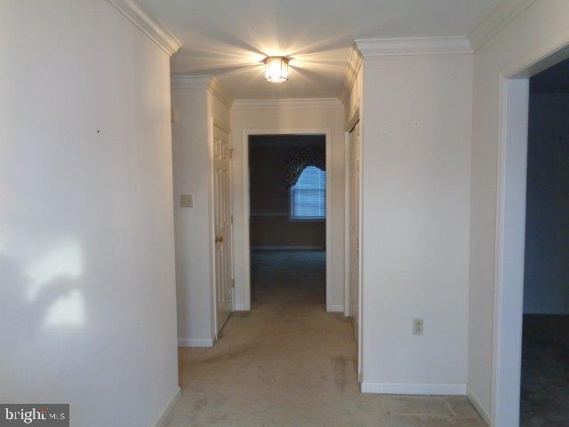 CANTERBURY - Residential