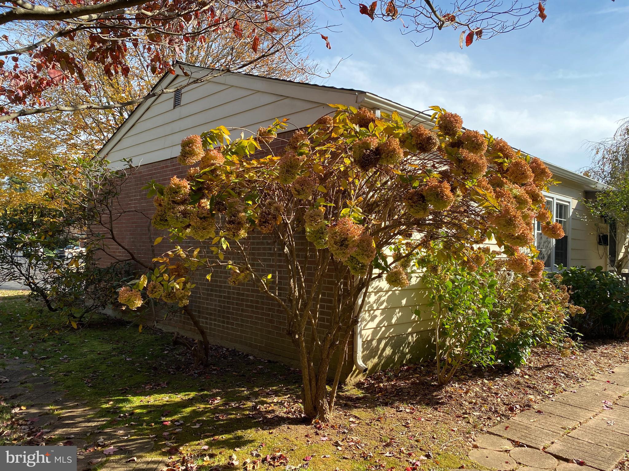 STONELEIGH - Residential