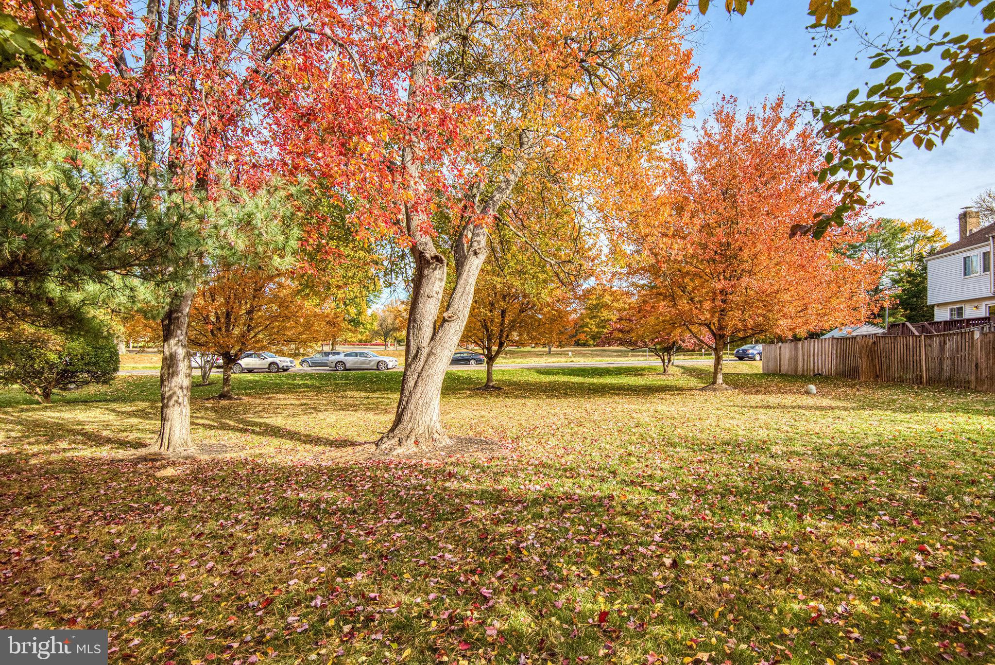 FLINT HILL MANOR - Residential