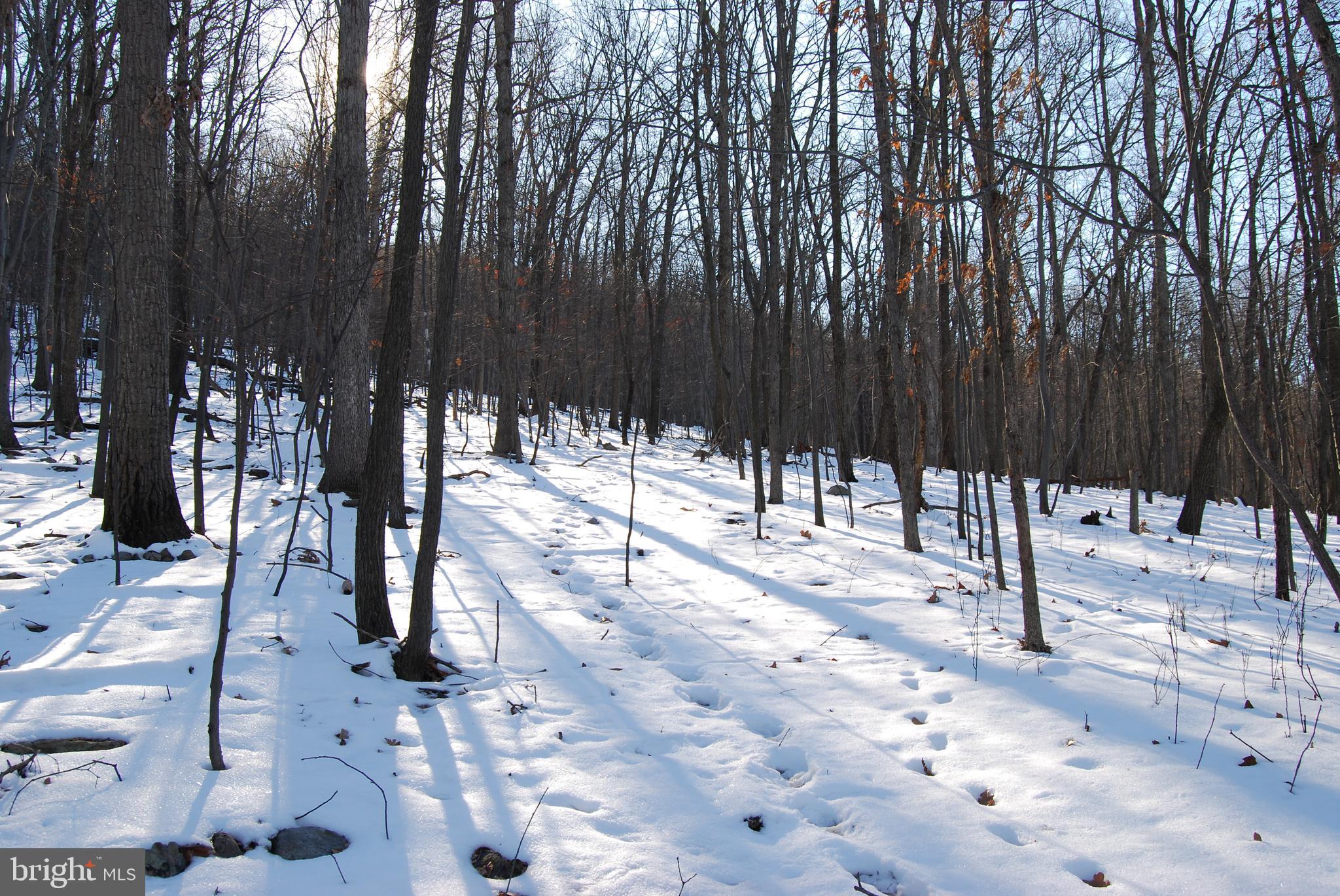 ROUND TOP ESTATES - Land