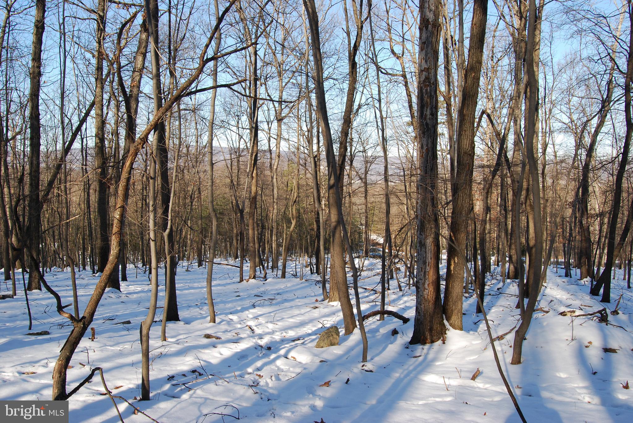 ROUND TOP ESTATES - Land