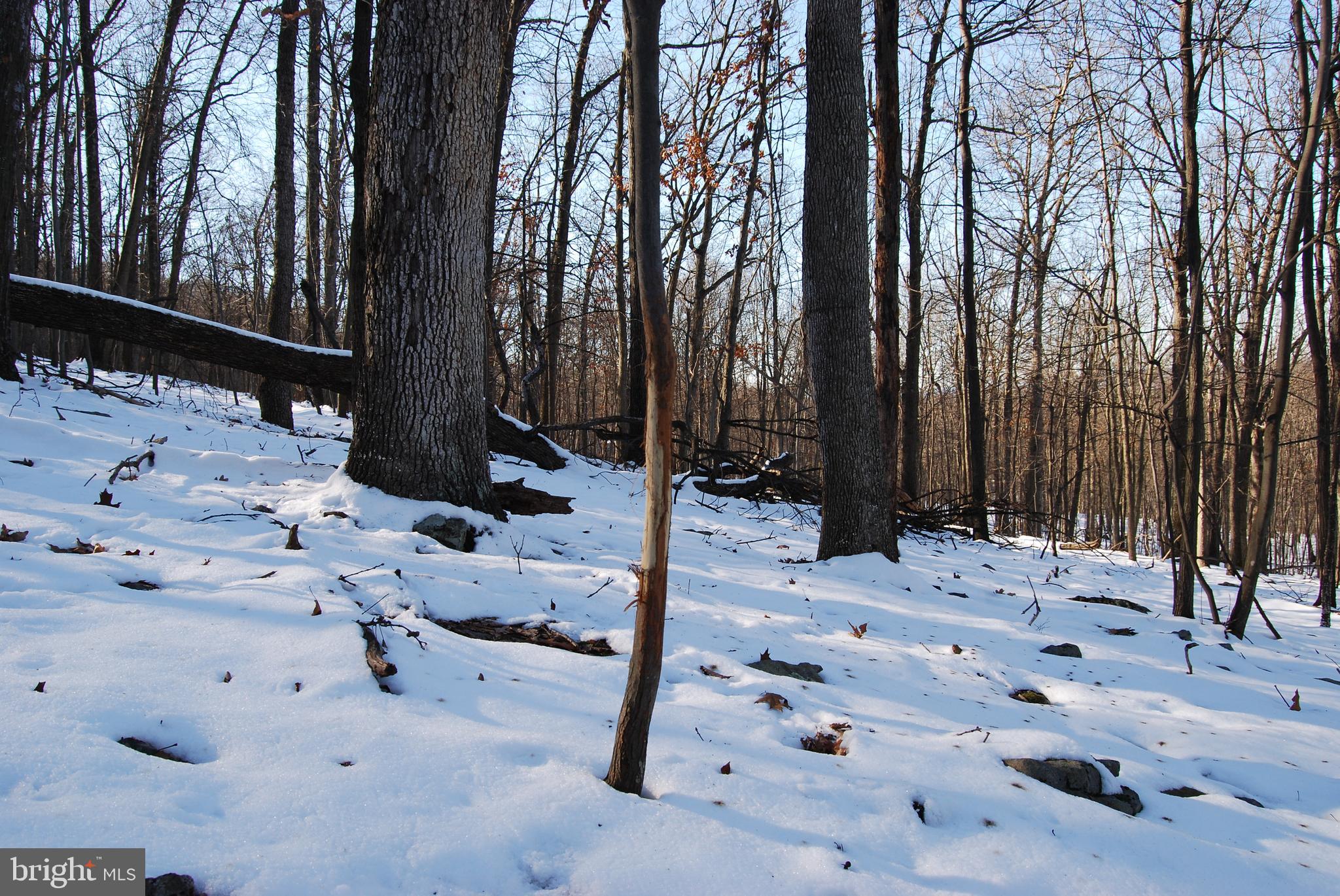 ROUND TOP ESTATES - Land