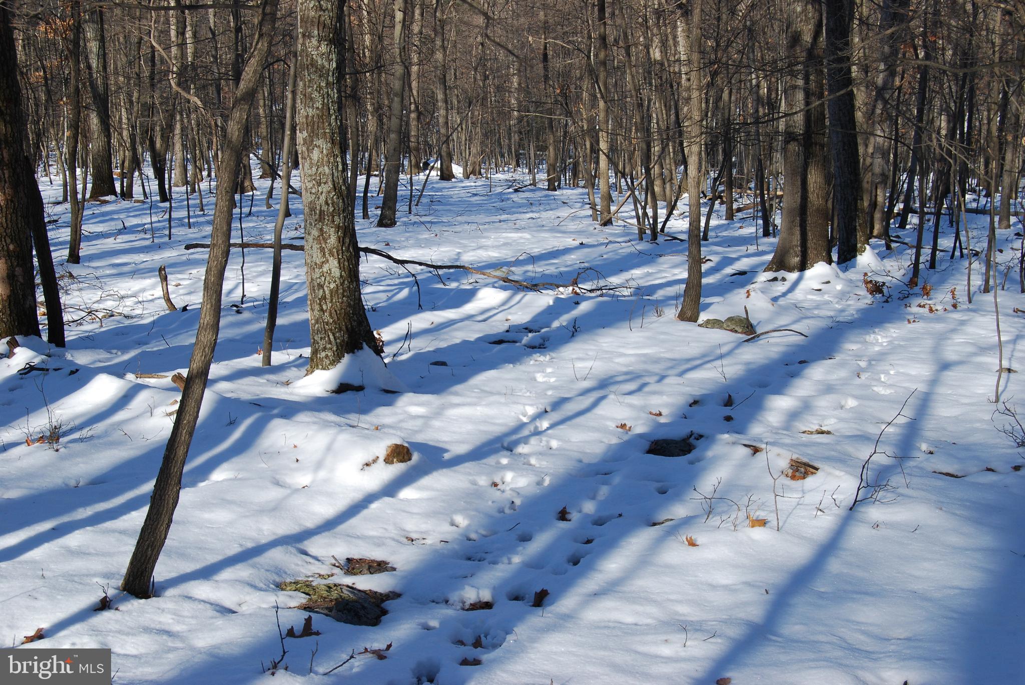 ROUND TOP ESTATES - Land