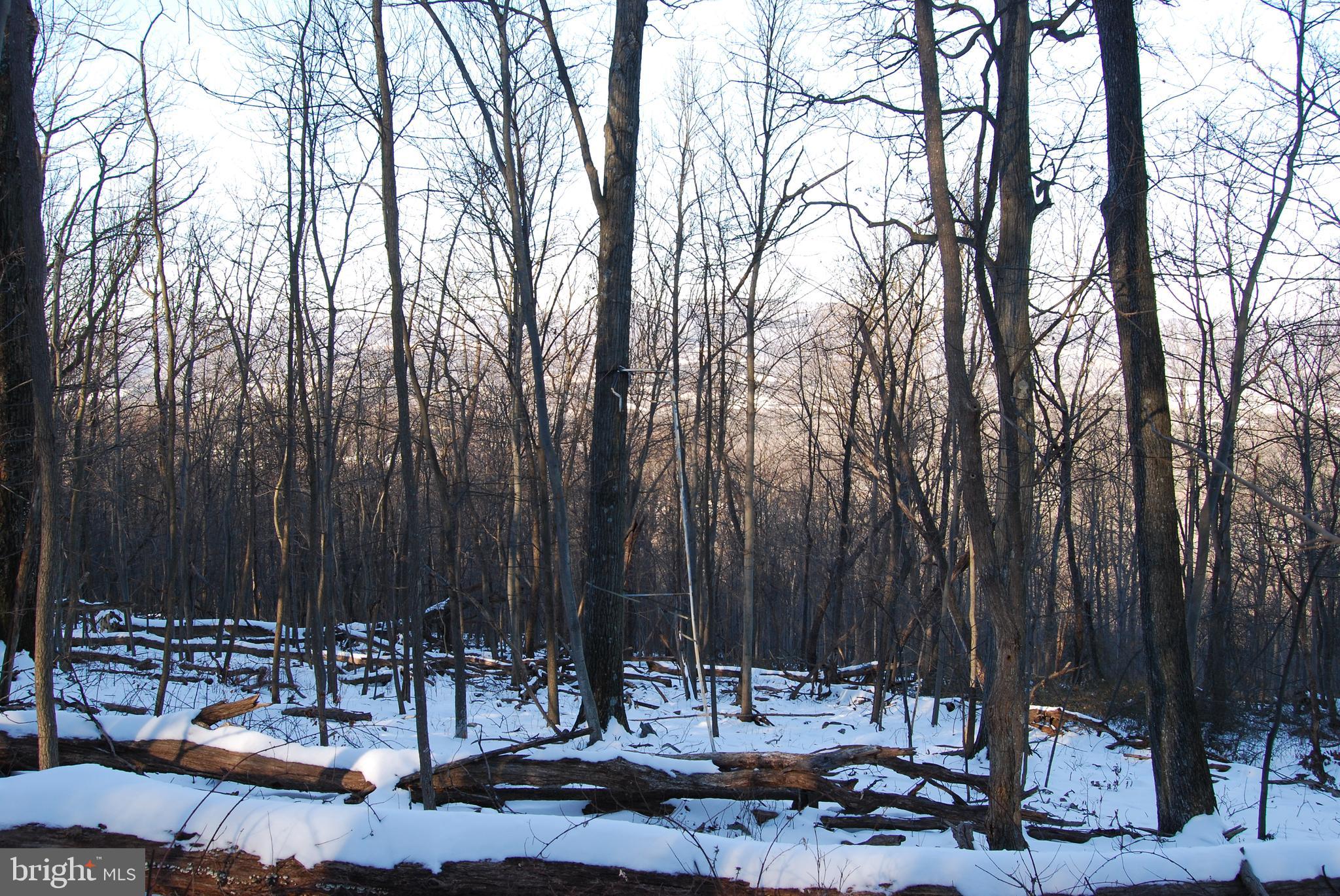 ROUND TOP ESTATES - Land