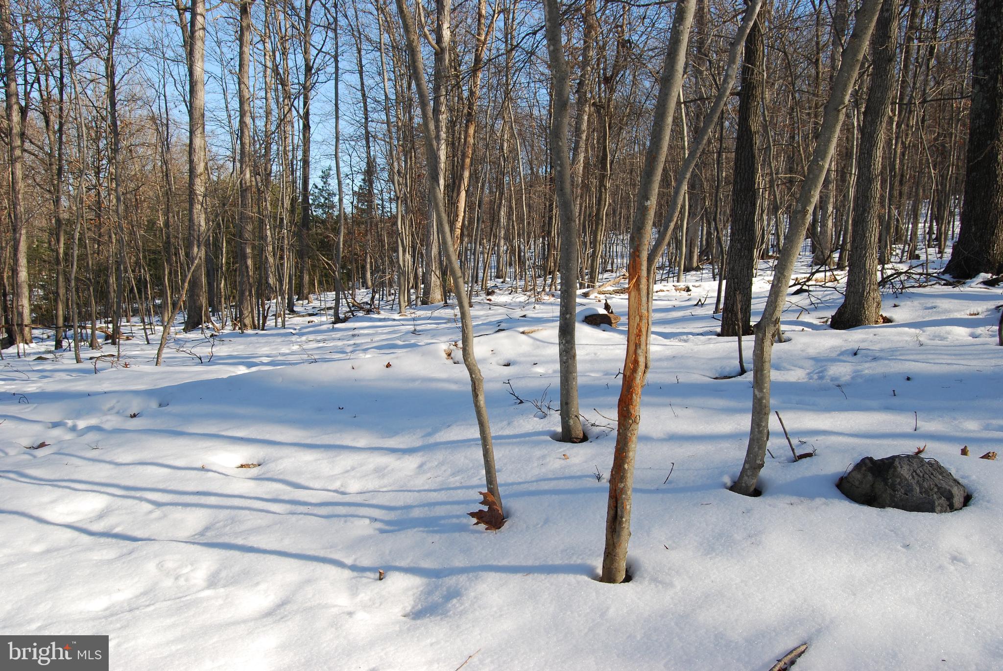 ROUND TOP ESTATES - Land