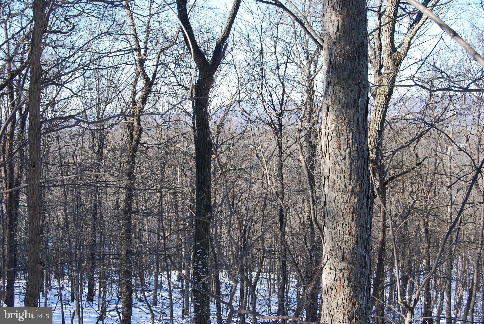 ROUND TOP ESTATES - Land