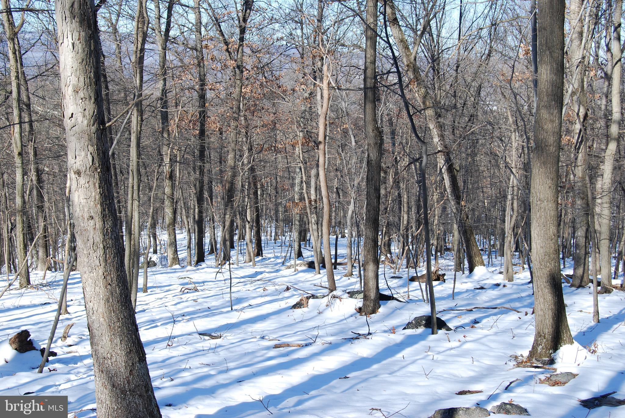 ROUND TOP ESTATES - Land