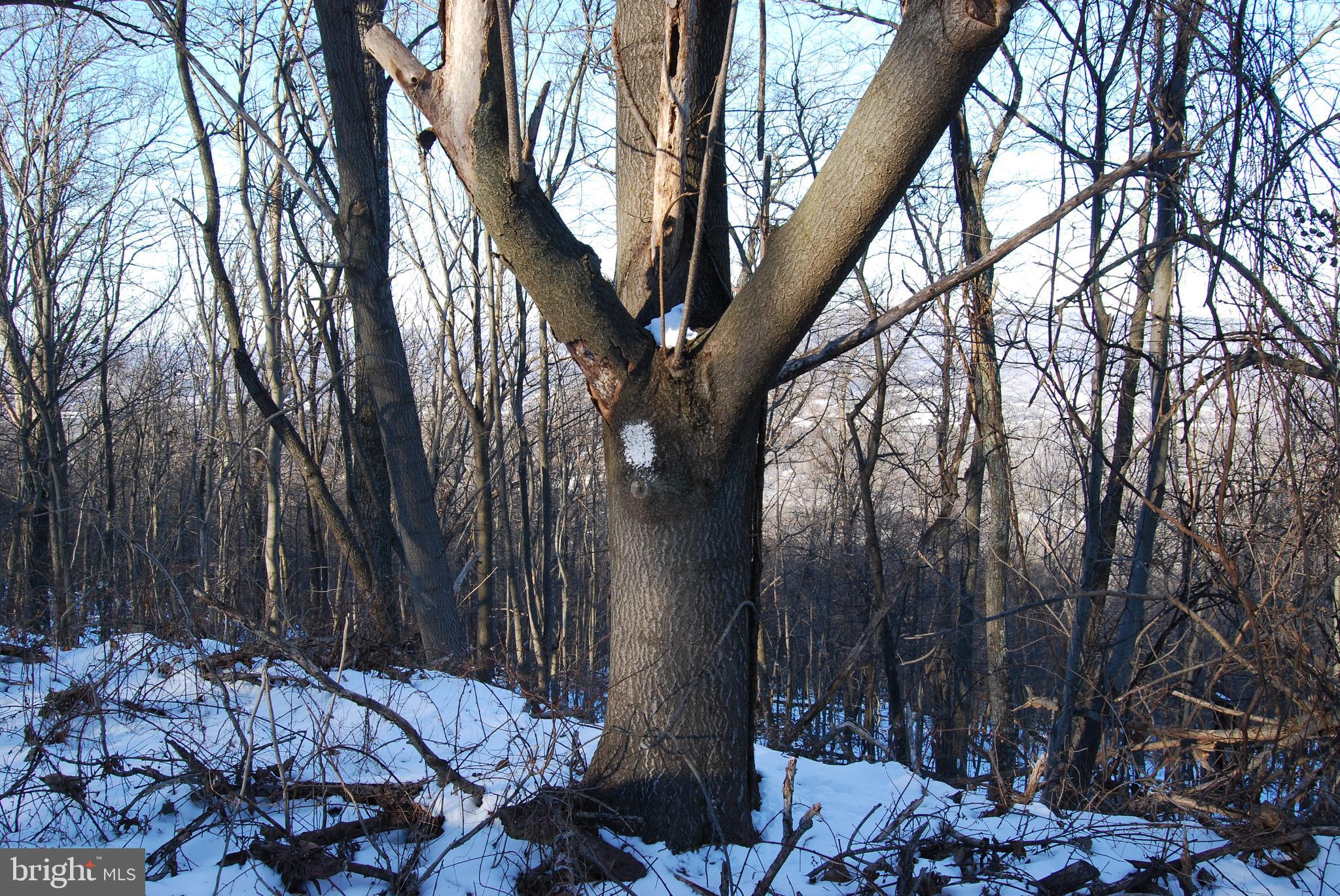 ROUND TOP ESTATES - Land