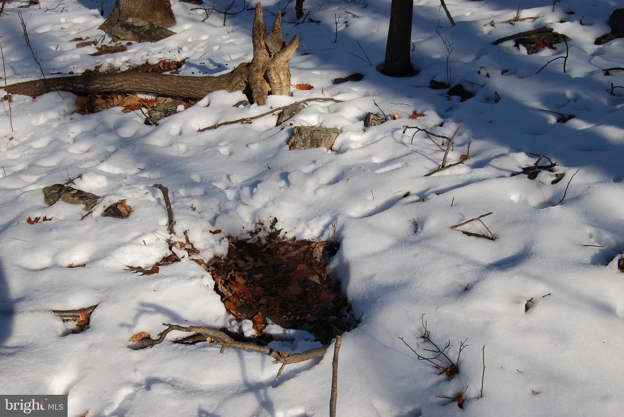 ROUND TOP ESTATES - Land