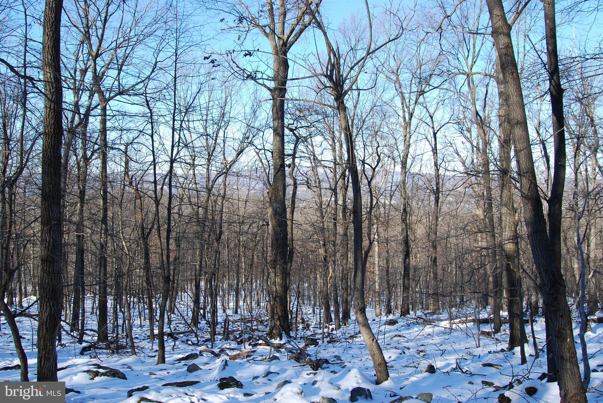 ROUND TOP ESTATES - Land