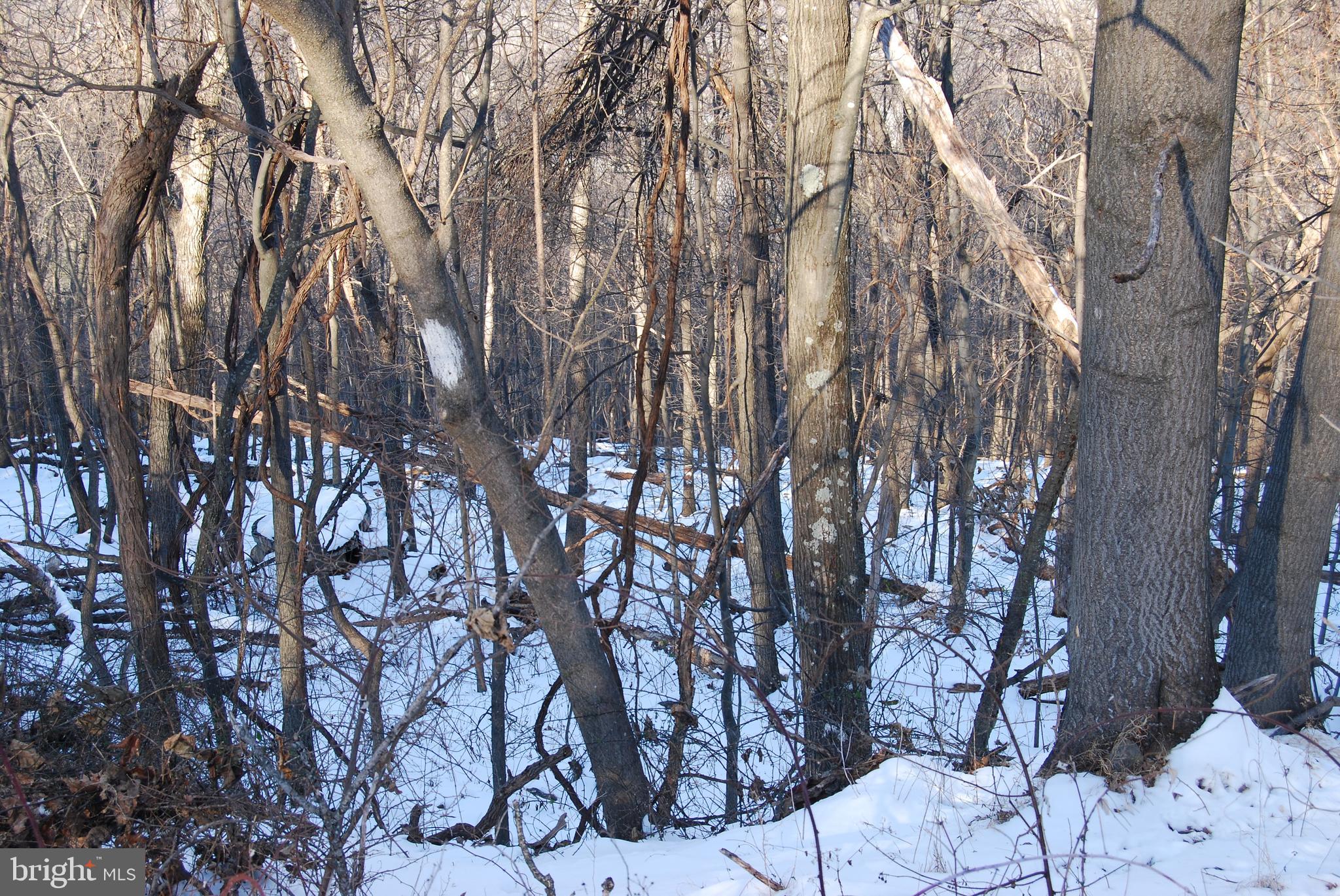 ROUND TOP ESTATES - Land