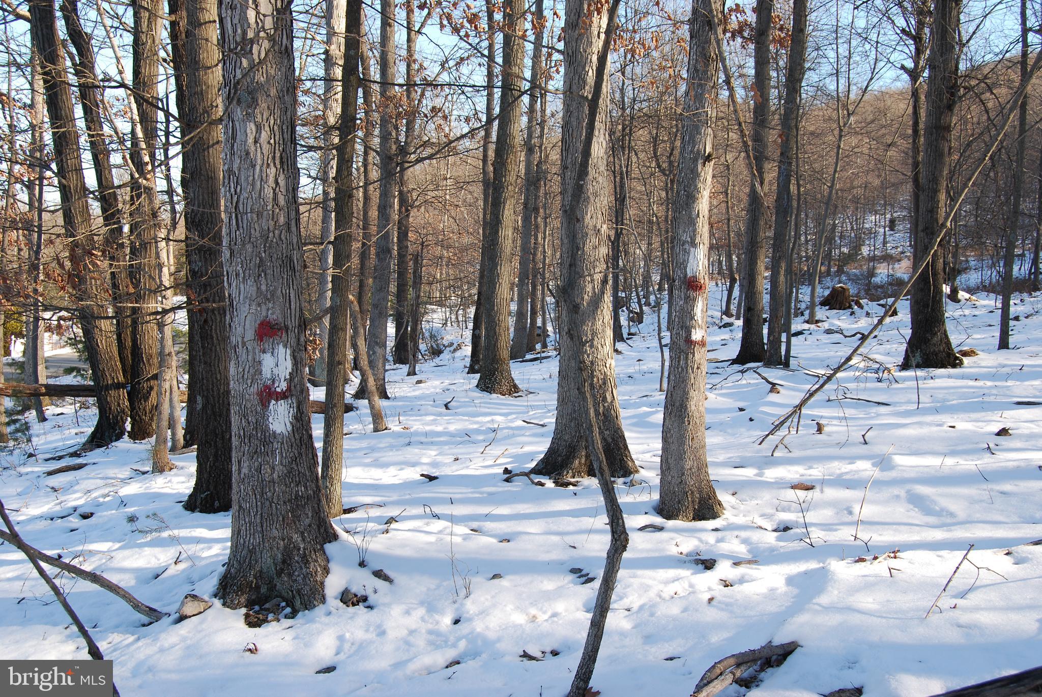 ROUND TOP ESTATES - Land