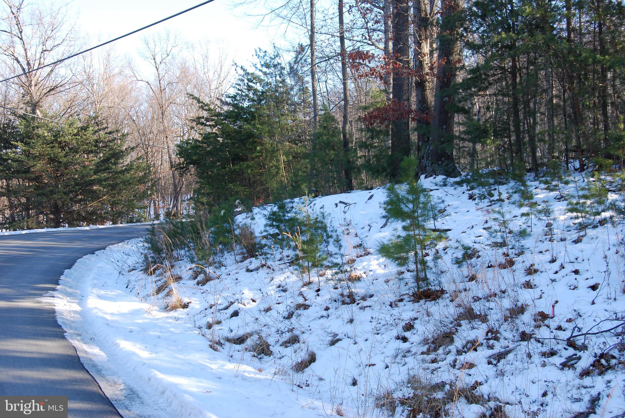 ROUND TOP ESTATES - Land