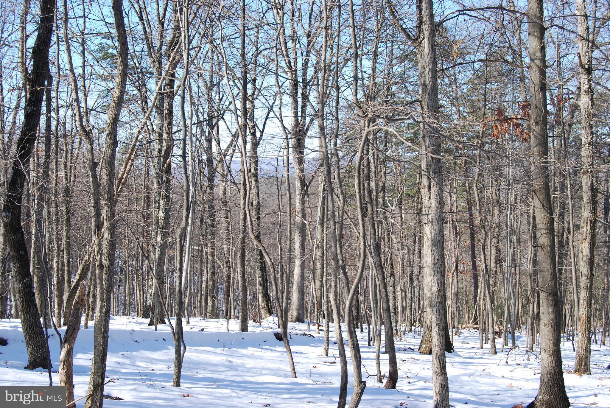 ROUND TOP ESTATES - Land