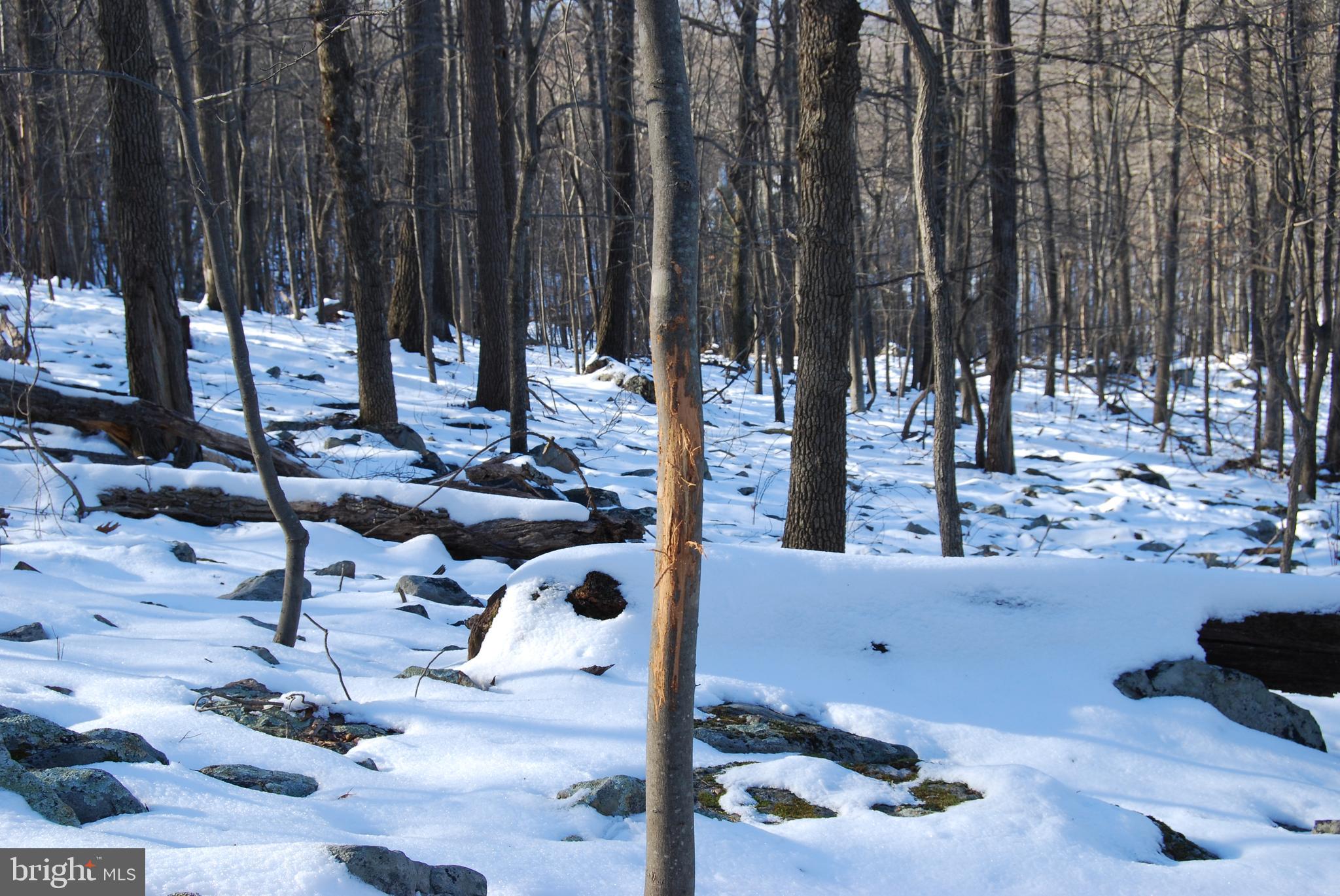 ROUND TOP ESTATES - Land