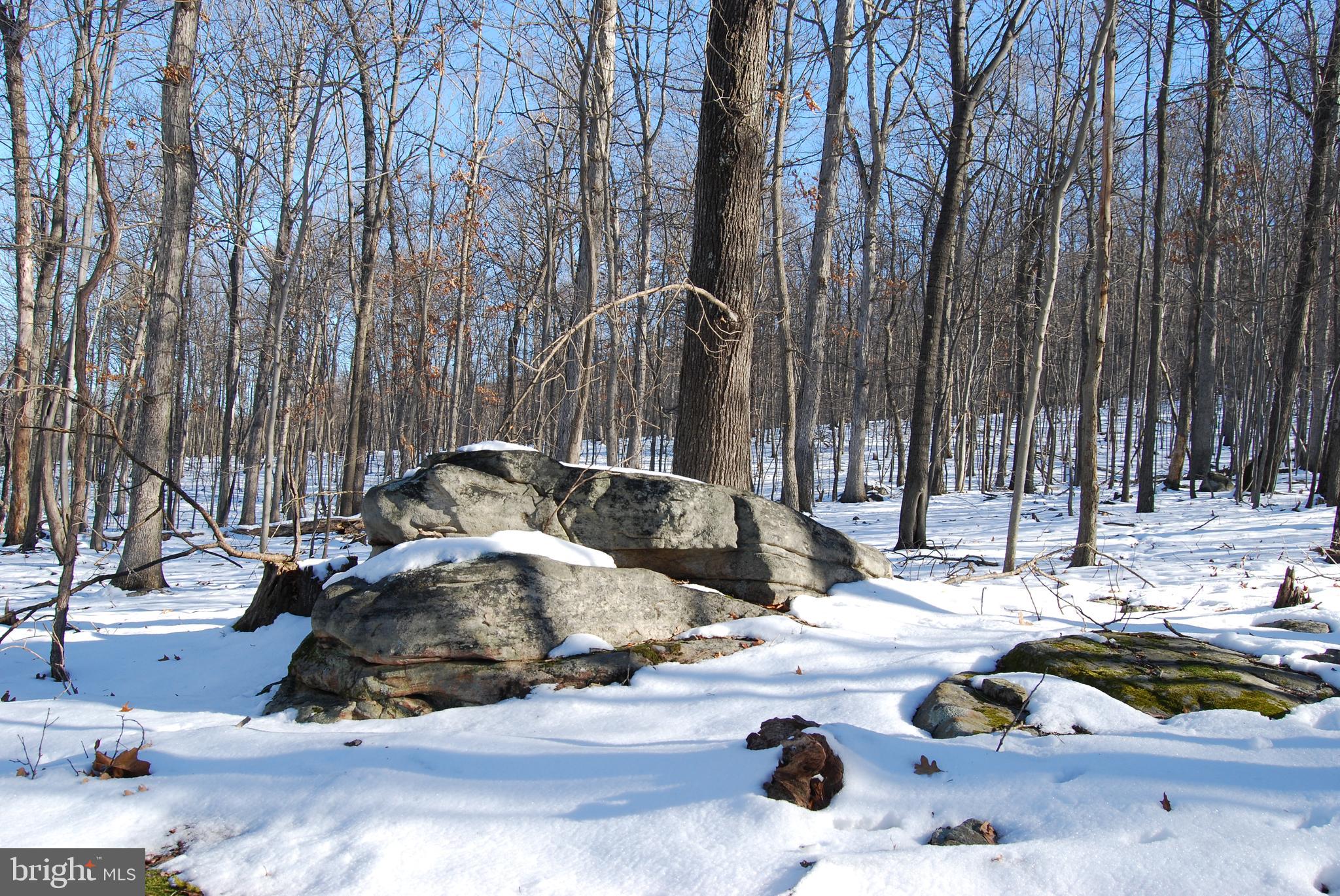 ROUND TOP ESTATES - Land