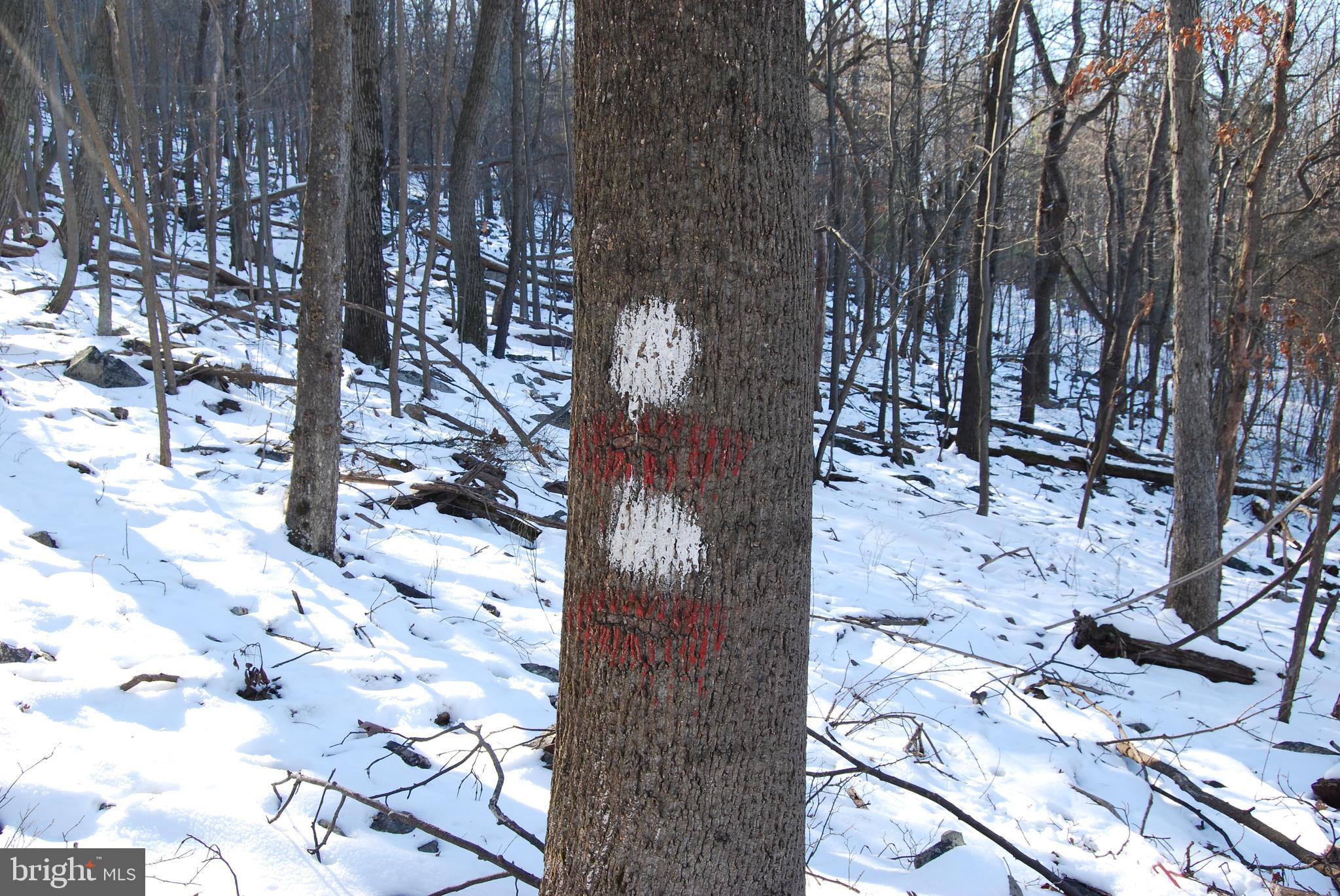 ROUND TOP ESTATES - Land