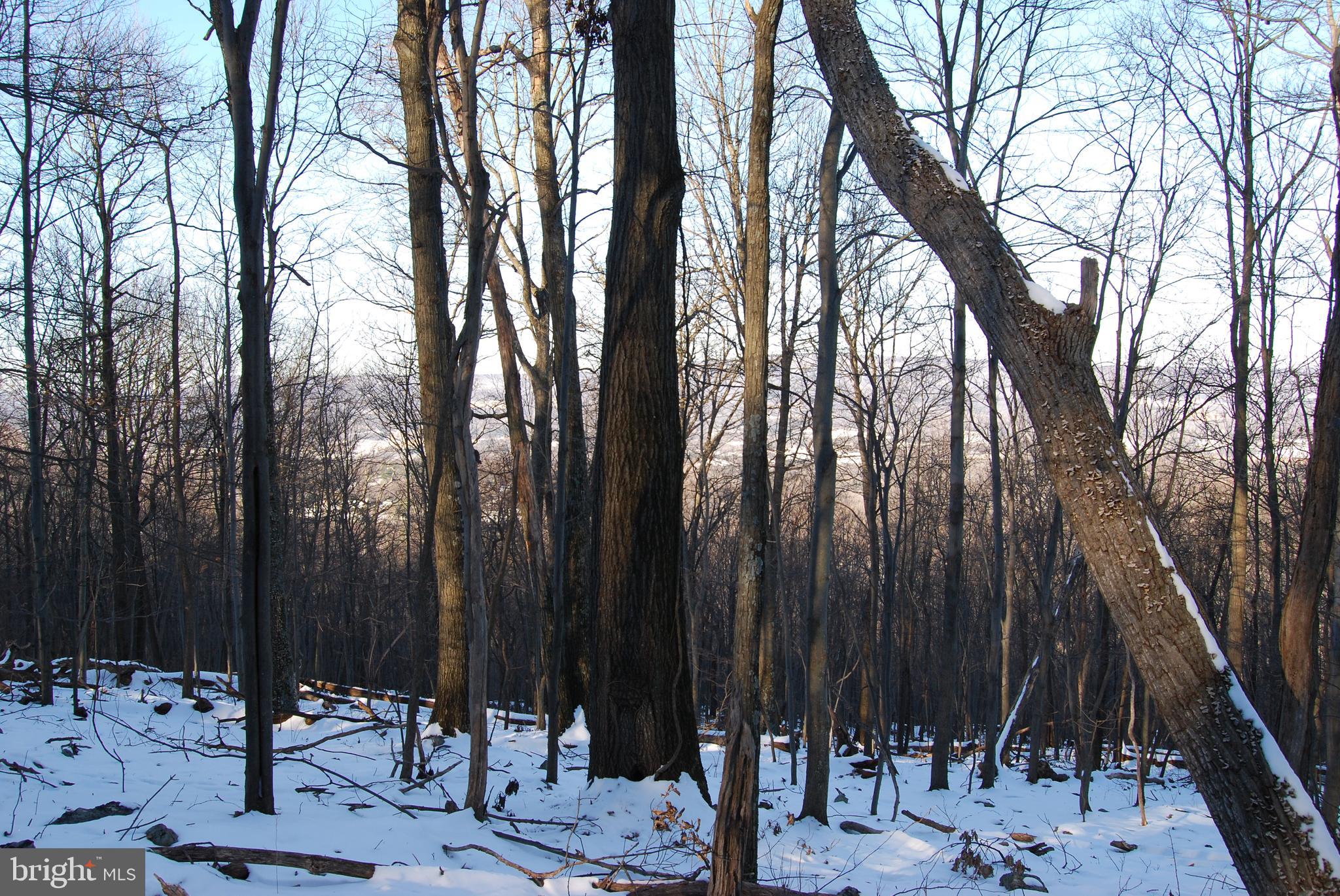 ROUND TOP ESTATES - Land