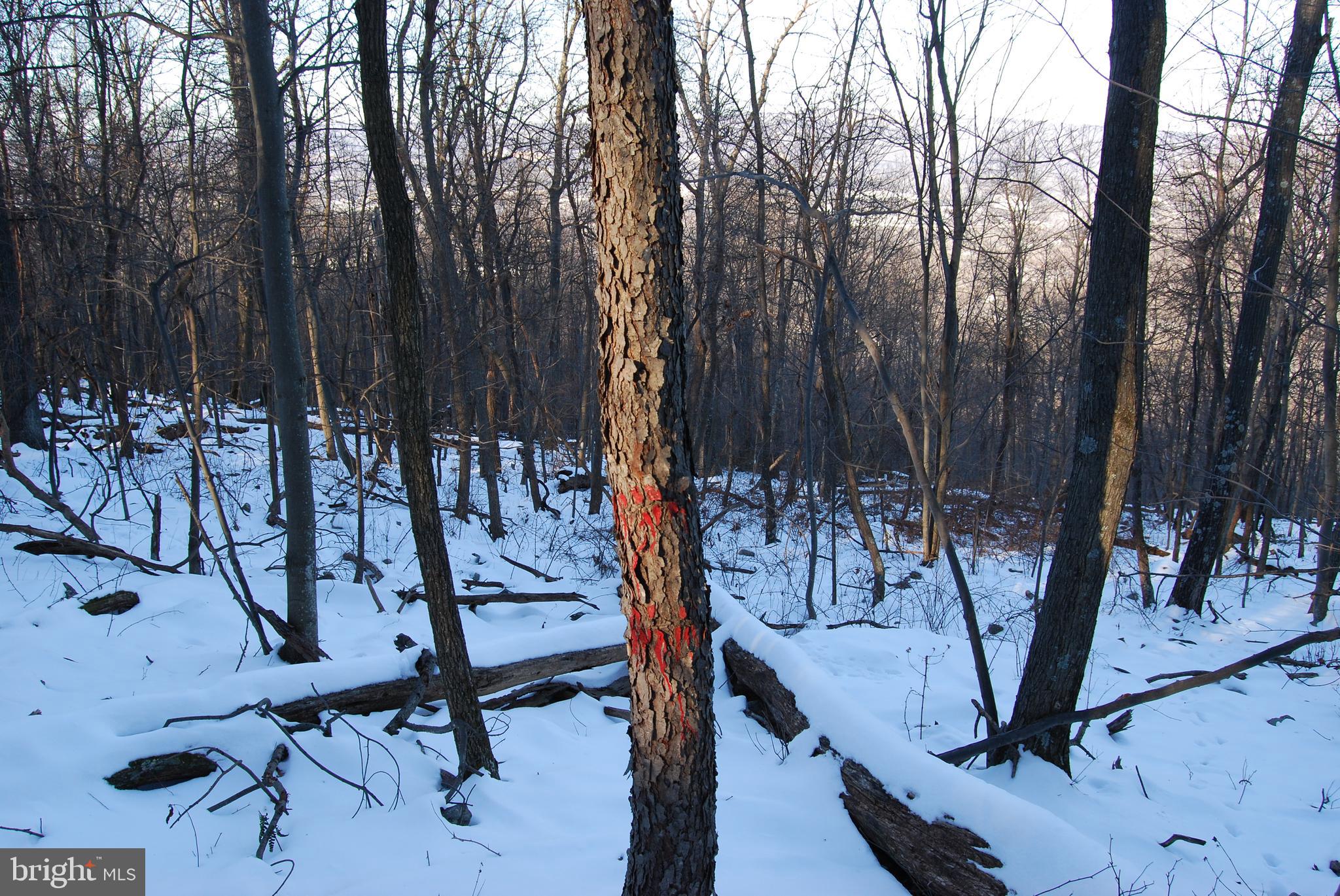 ROUND TOP ESTATES - Land