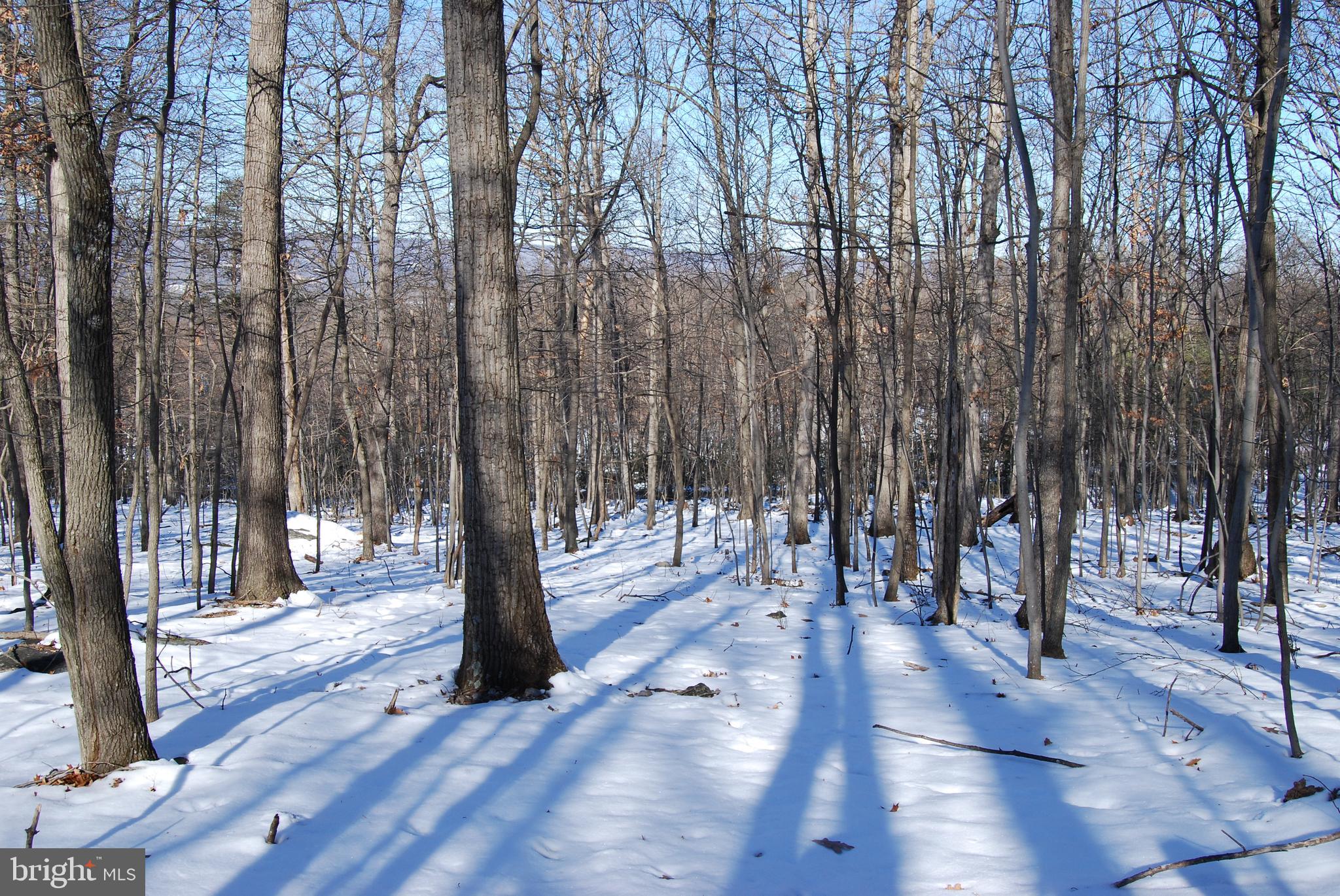 ROUND TOP ESTATES - Land