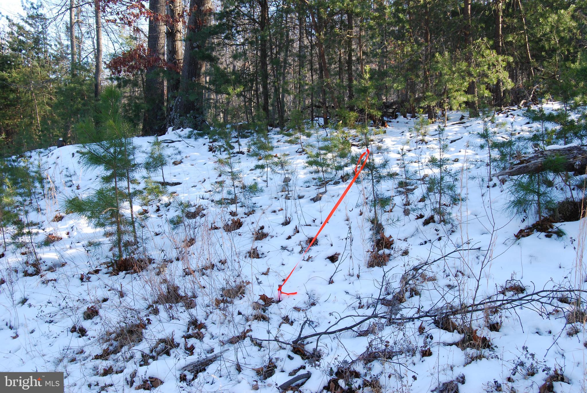 ROUND TOP ESTATES - Land