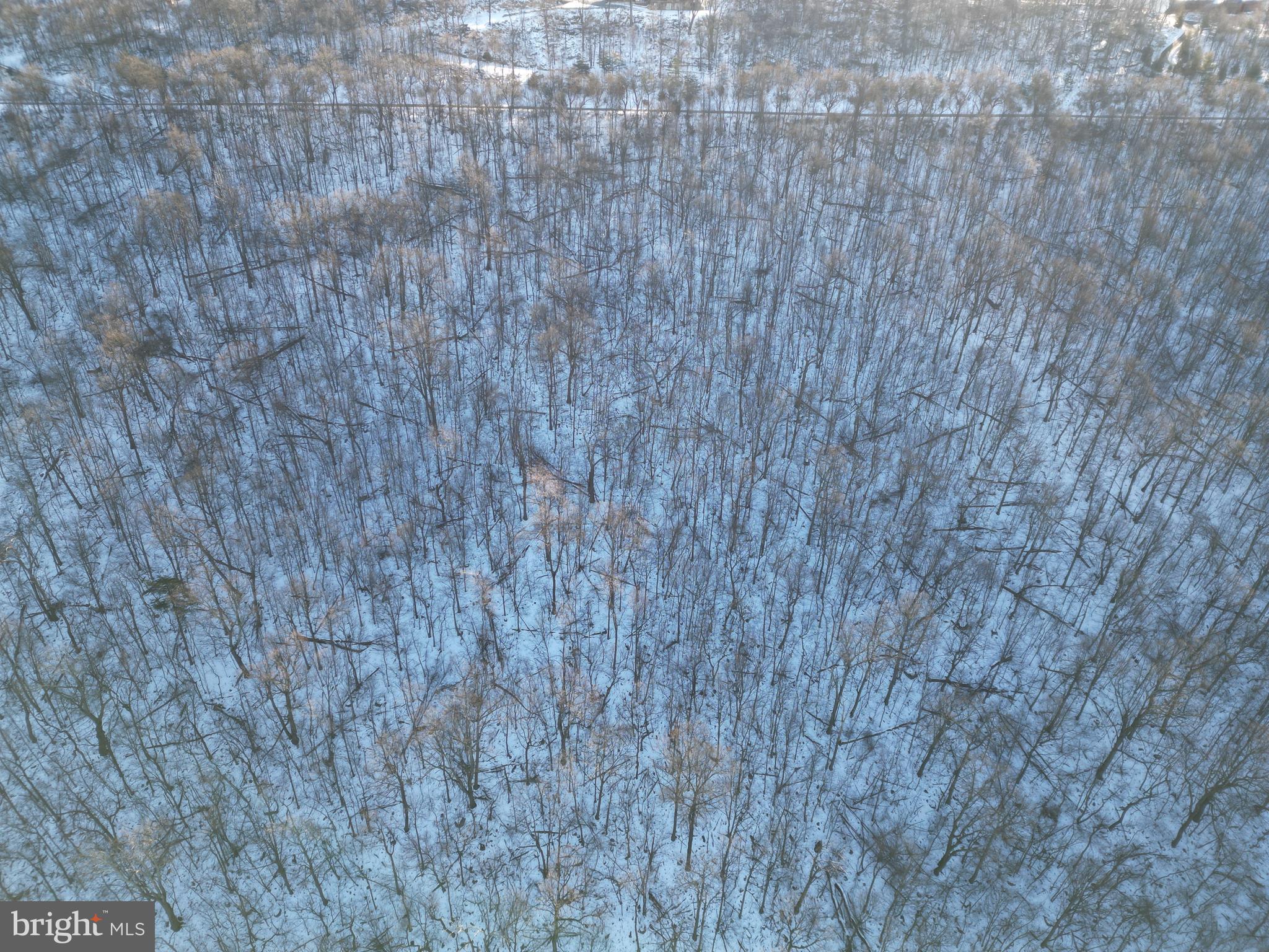 ROUND TOP ESTATES - Land