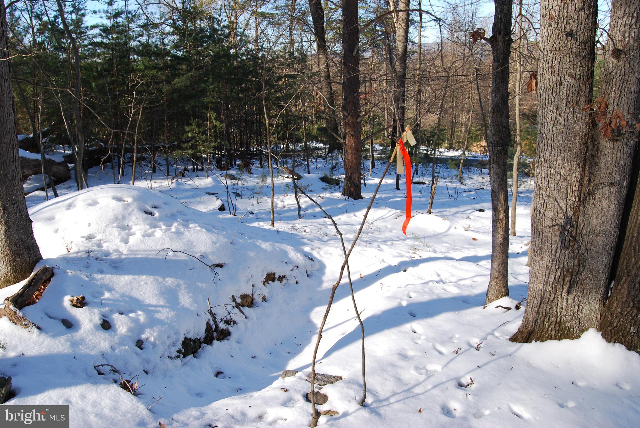 ROUND TOP ESTATES - Land