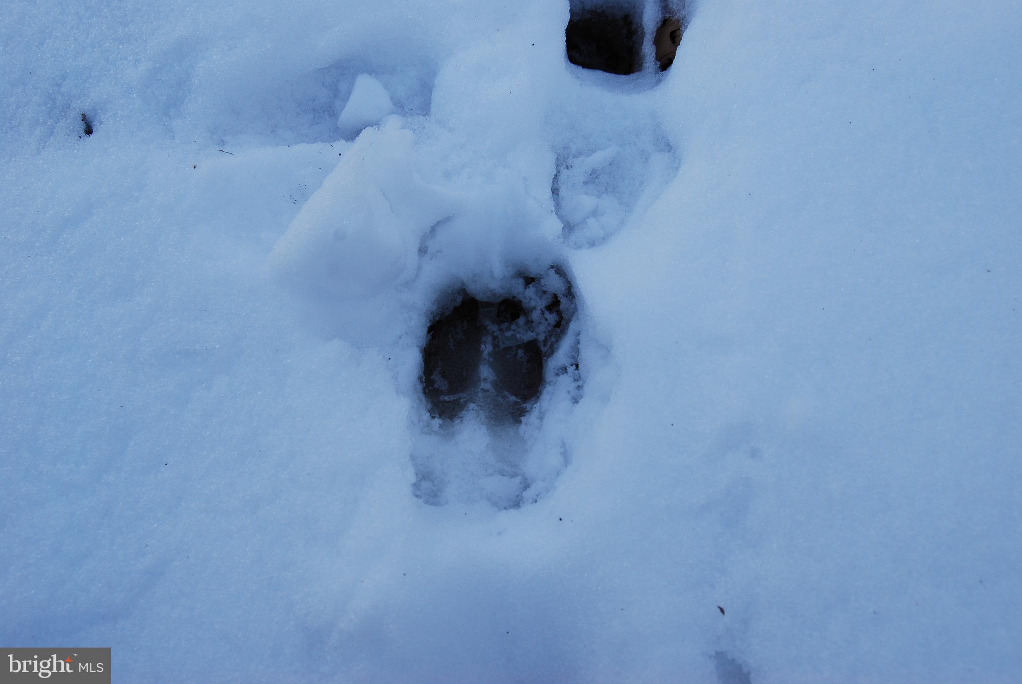 ROUND TOP ESTATES - Land