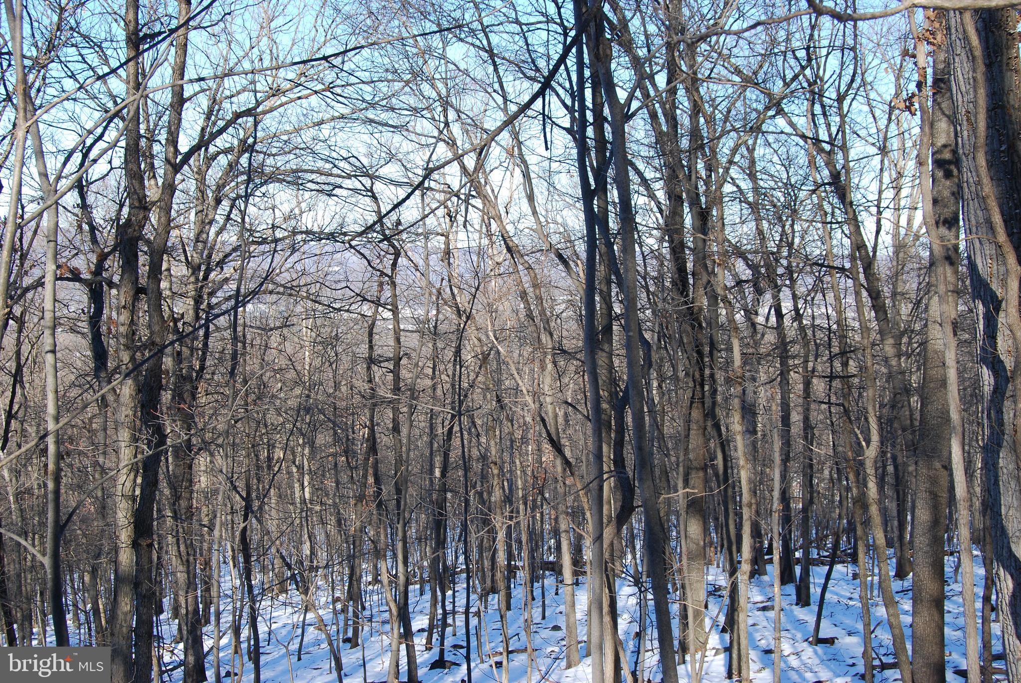 ROUND TOP ESTATES - Land