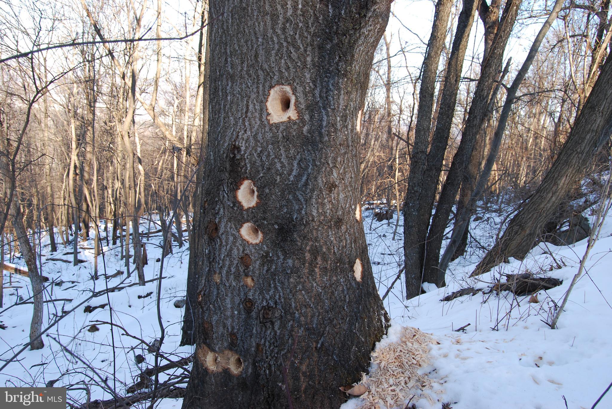 ROUND TOP ESTATES - Land