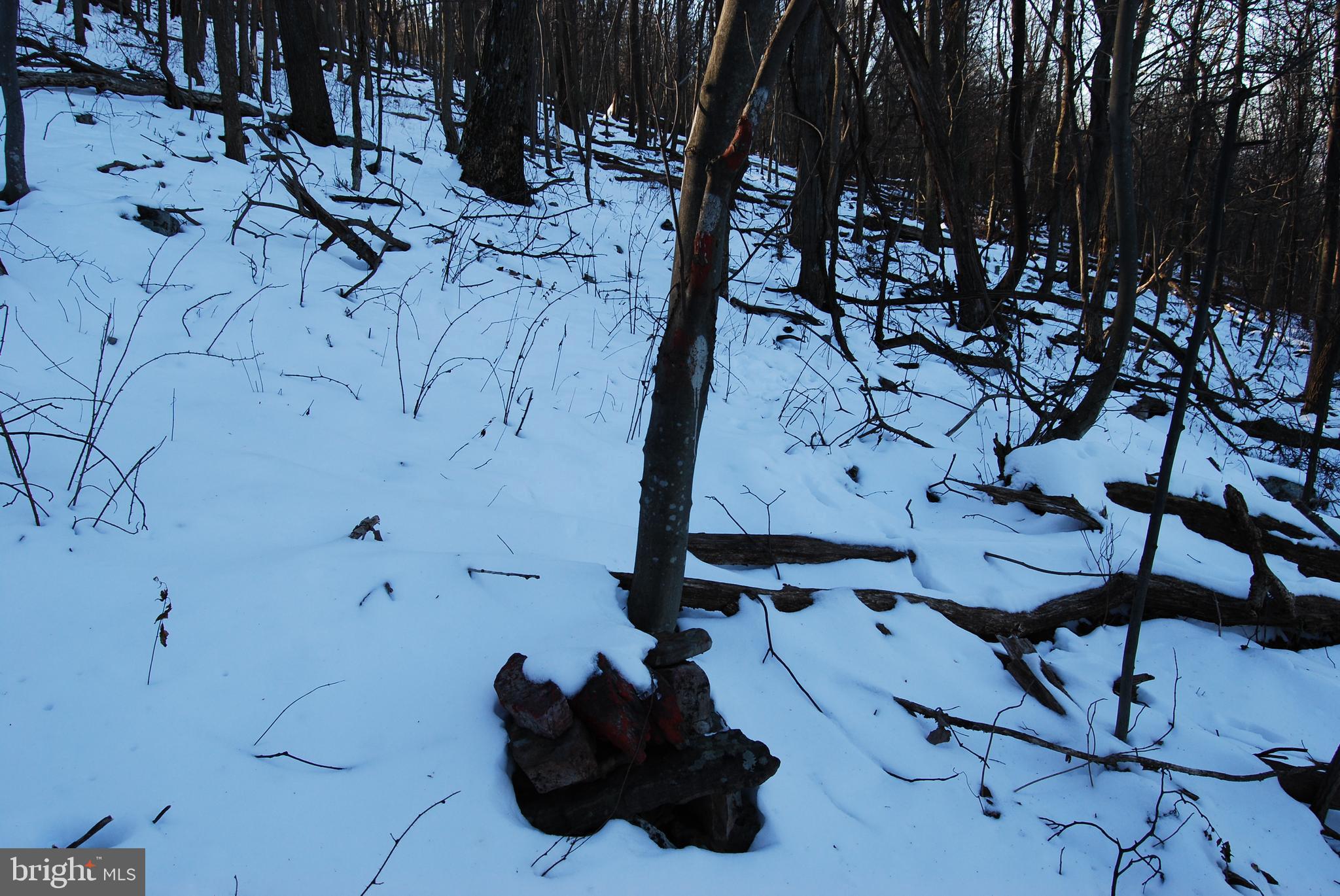 ROUND TOP ESTATES - Land