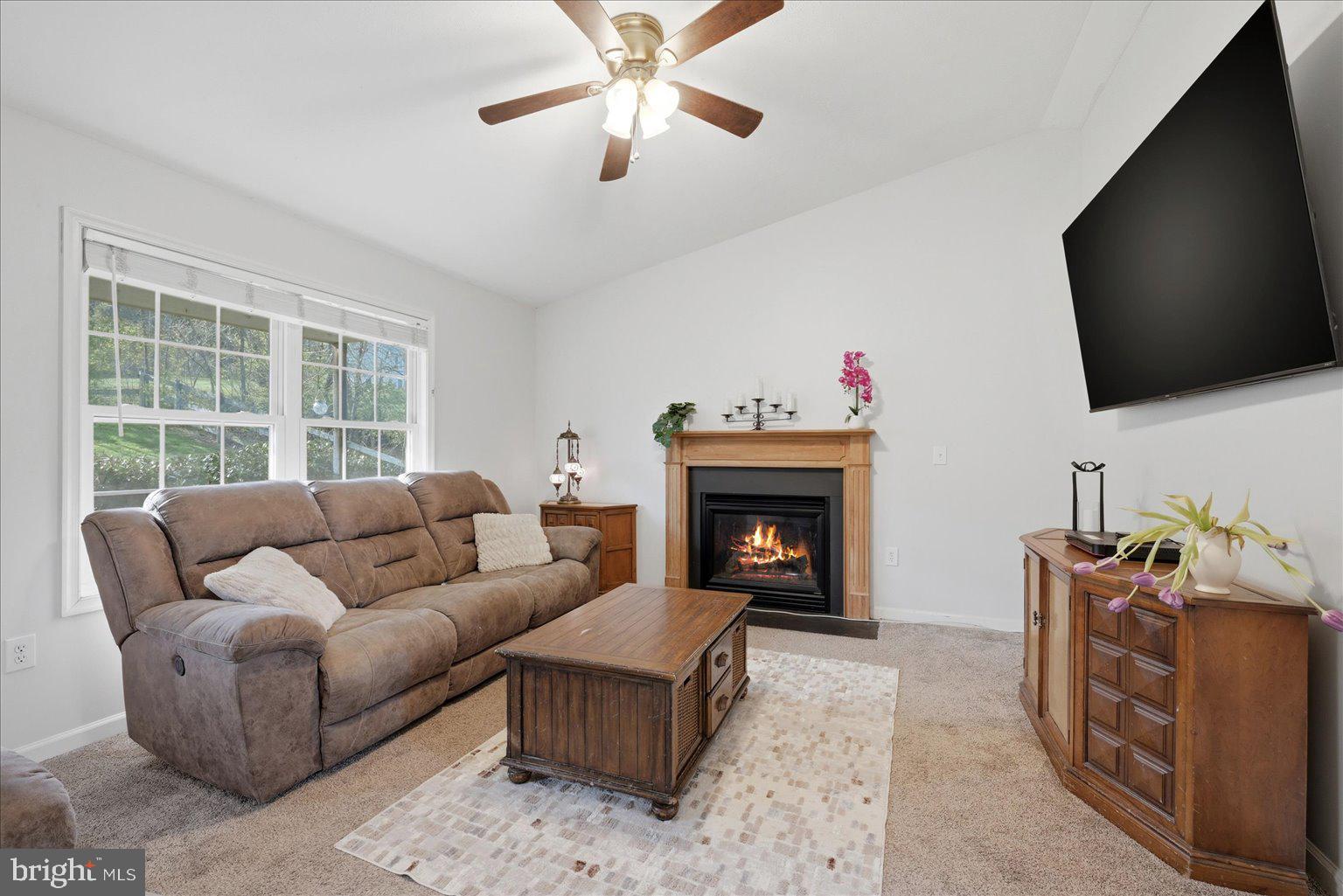 SHEN FARMS MT VIEW - Residential