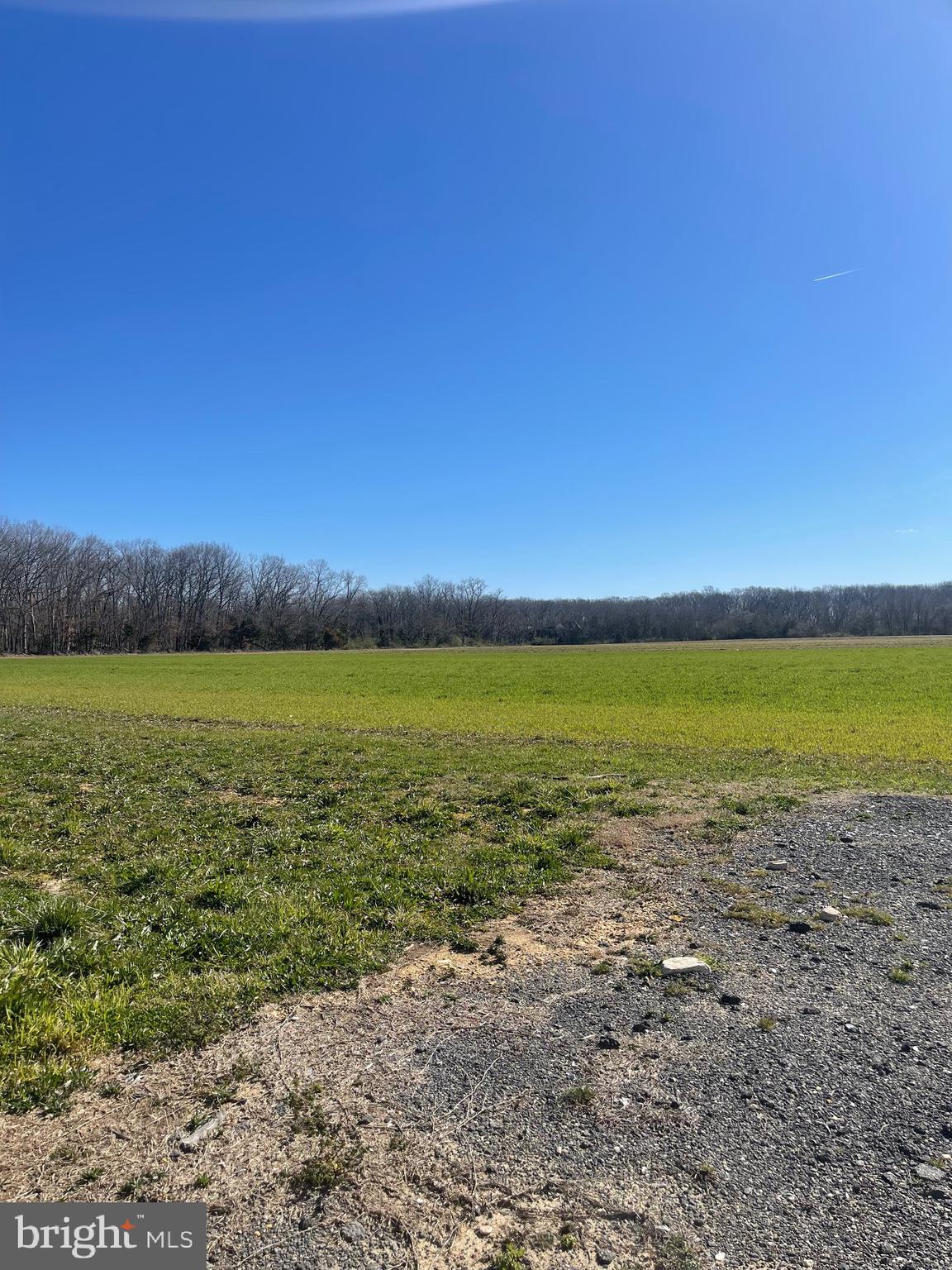 2550 HARDING HIGHWAY