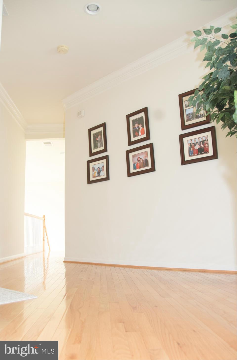 LOUDOUN VALLEY ESTATES - Residential Lease